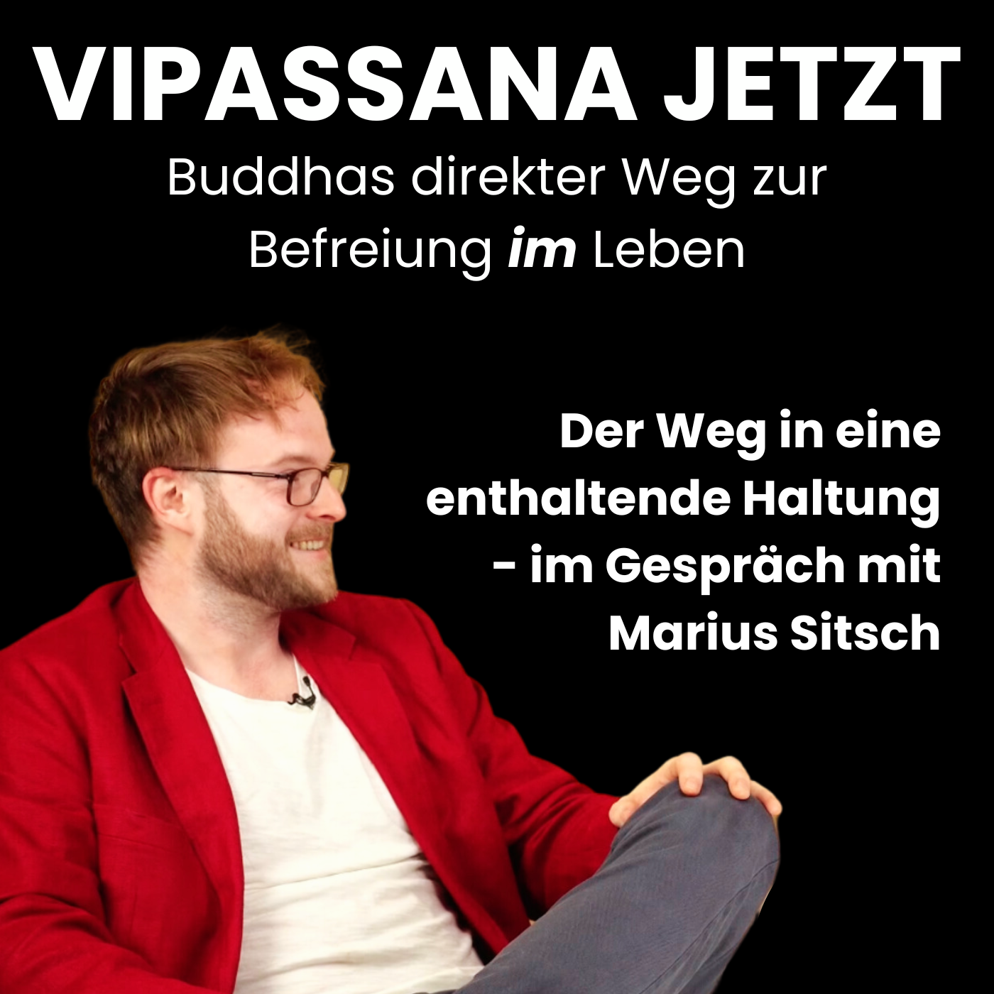 Vipassana Jetzt
