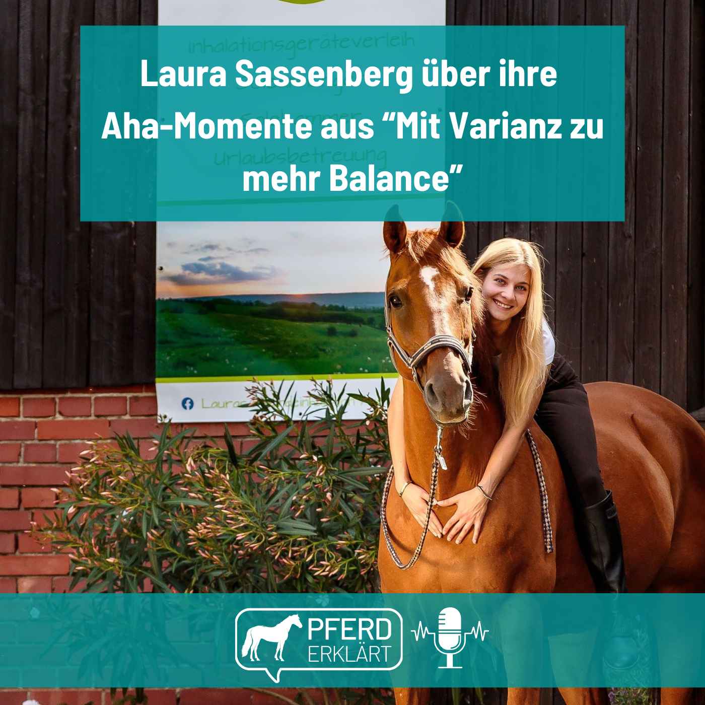 Pferd erklärt