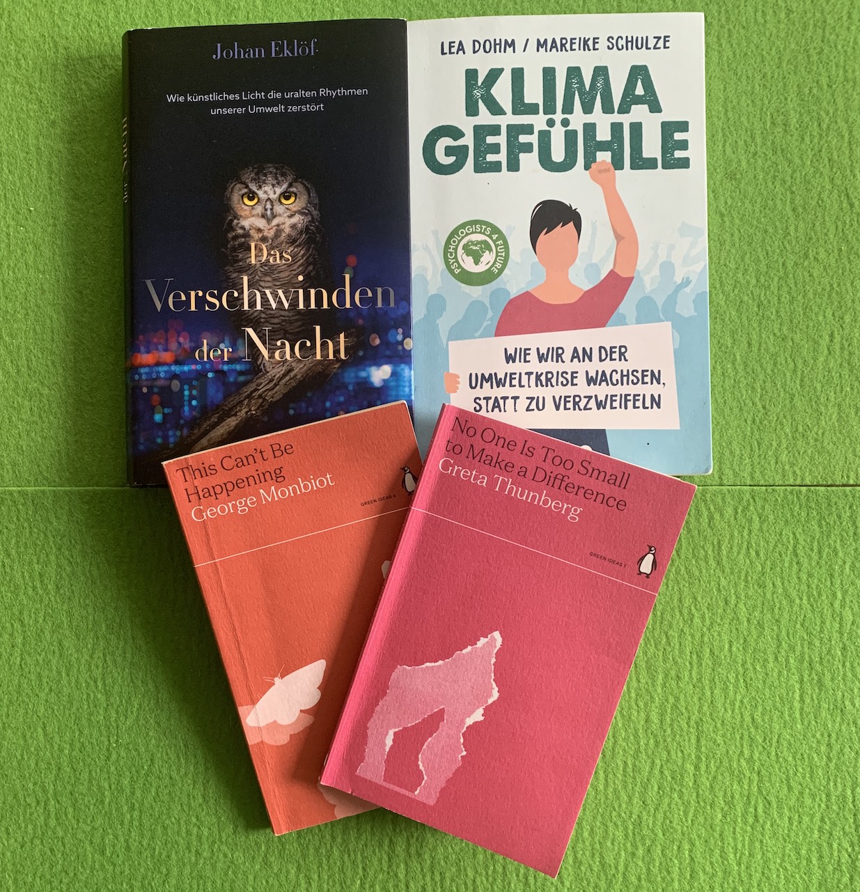 Katjas und Inas Buchgestöber