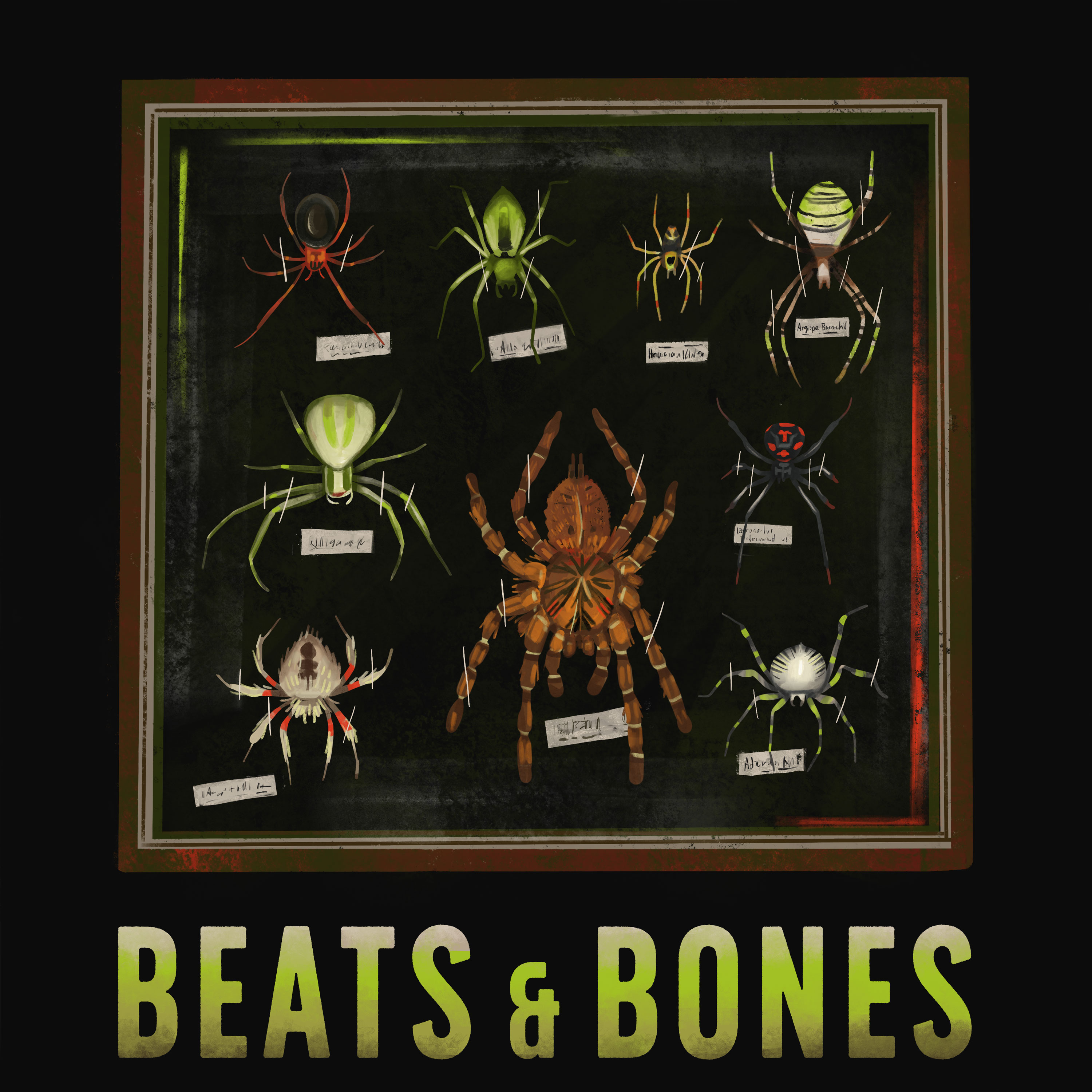 Beats & Bones