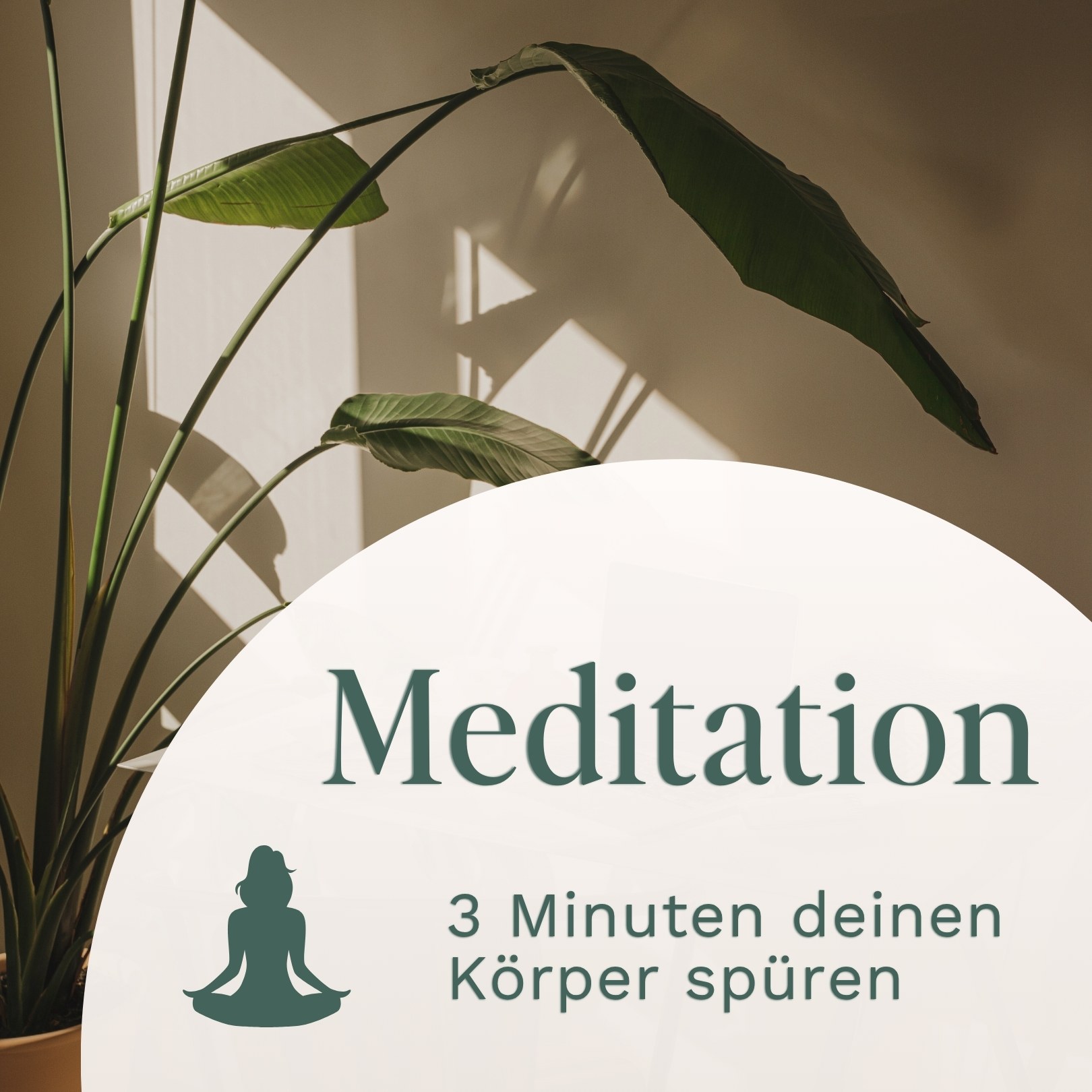 Meditation // 3 Minuten deinen Körper spüren