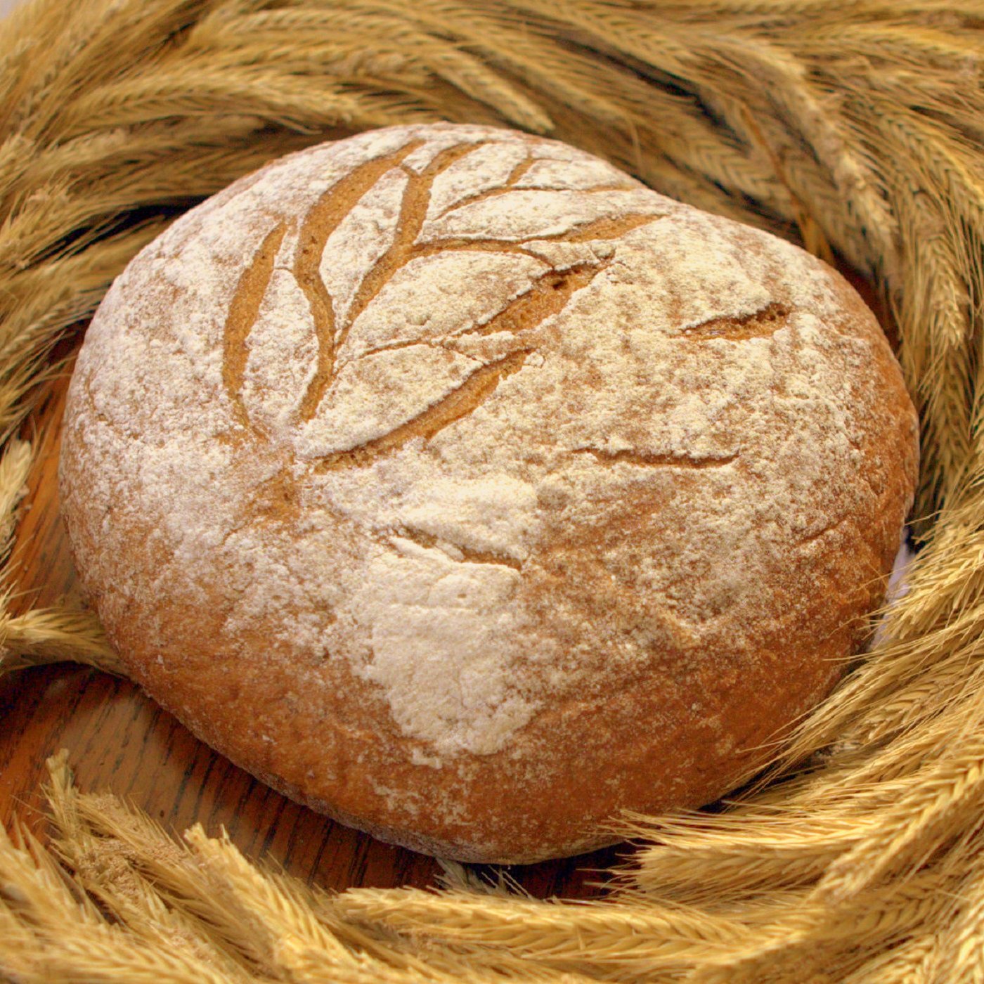 Nun preiset alle Gottes Barmherzigkeit (EG 502)