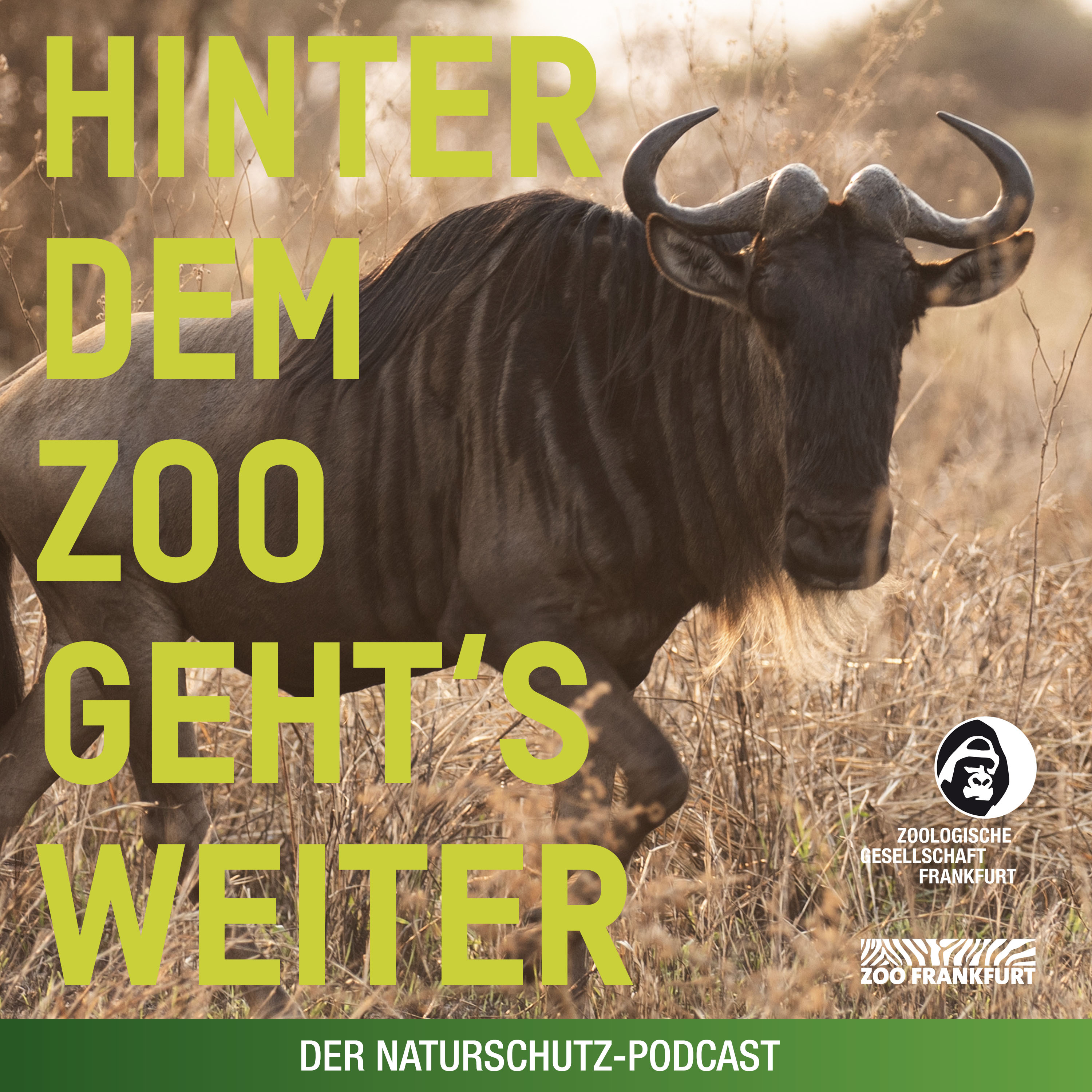 Hinter dem Zoo geht\'s weiter - Der Naturschutzpodcast aus Frankfurt