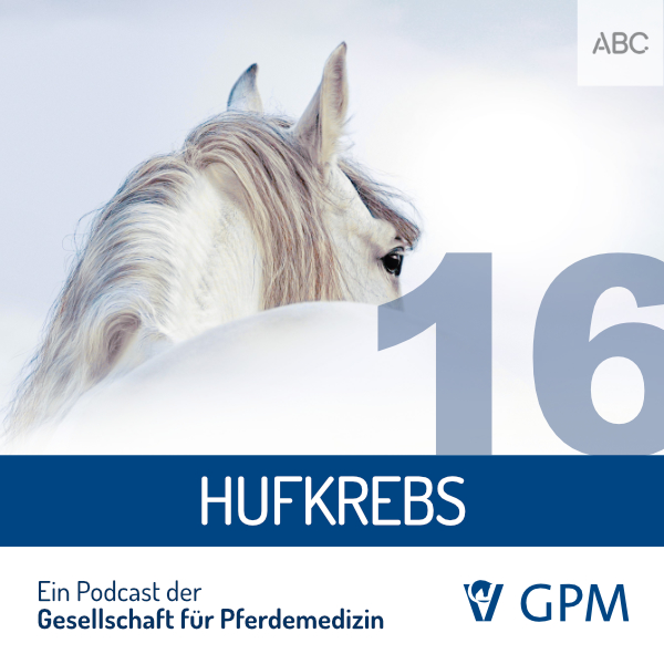 Pferdemedizin heute