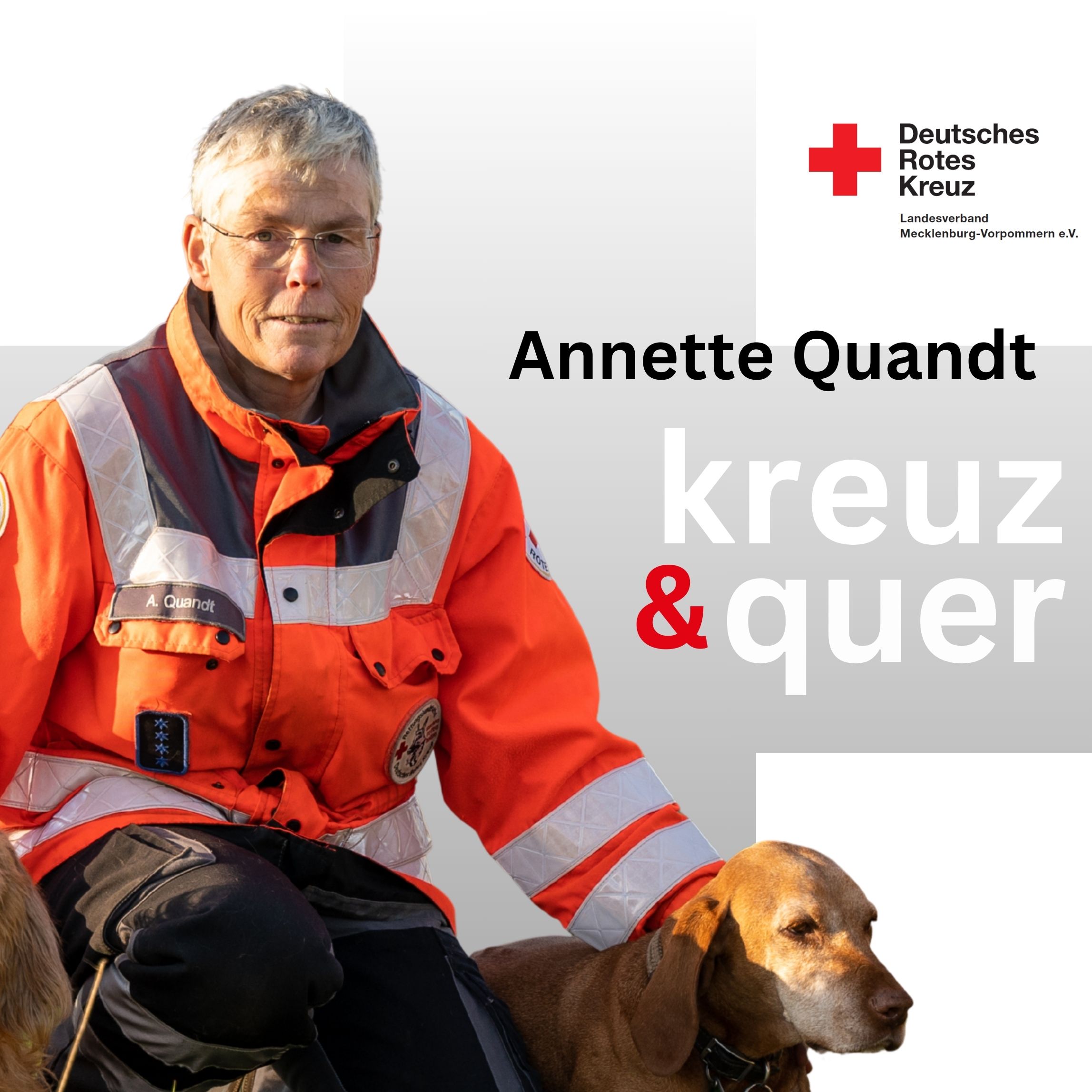 Bundesverdienstkreuz auf vier Pfoten. episode artwork