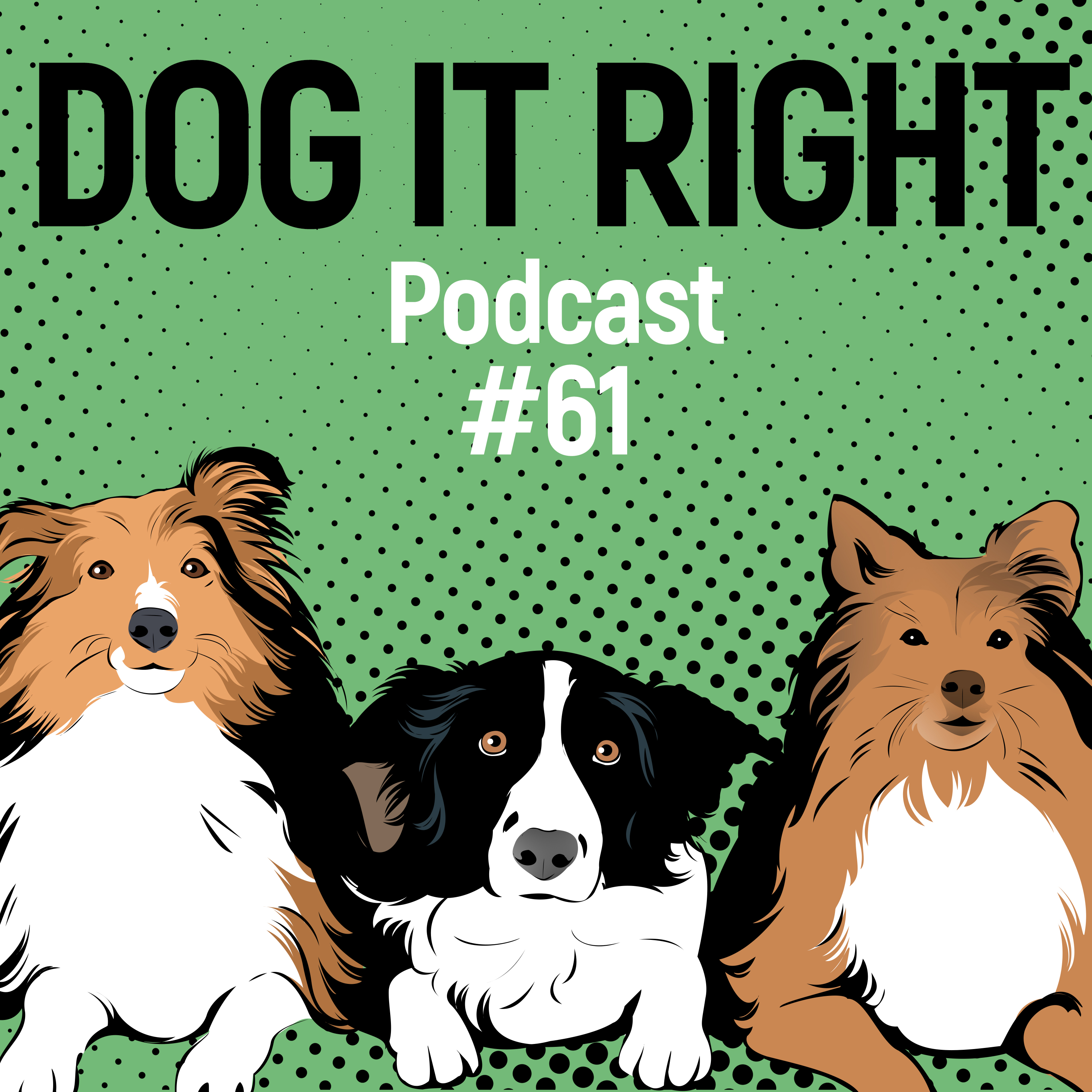 Dog It Right | Der Podcast für Hundemenschen