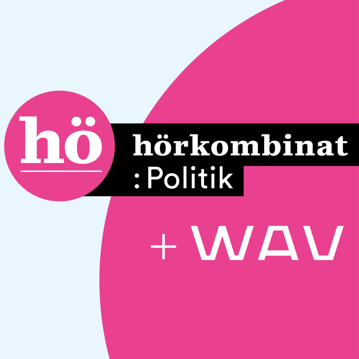Hörkombinat :Politik