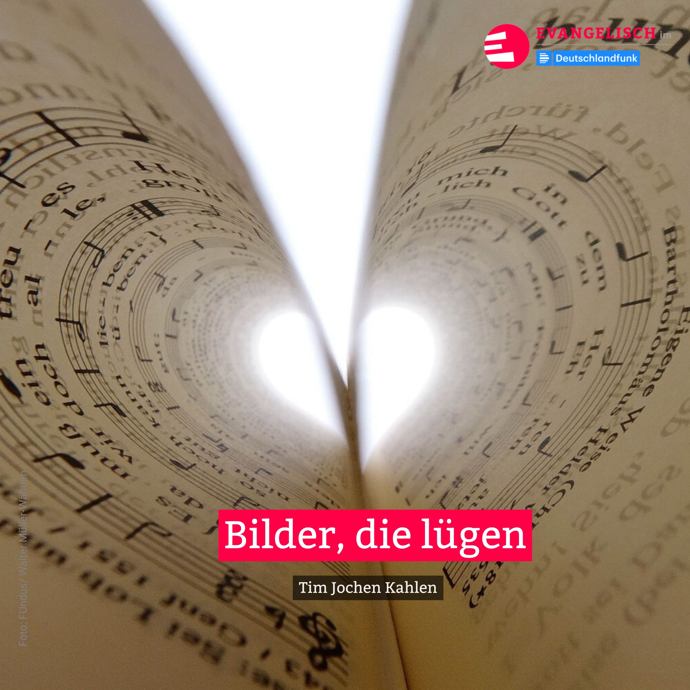 Bilder, die lügen
