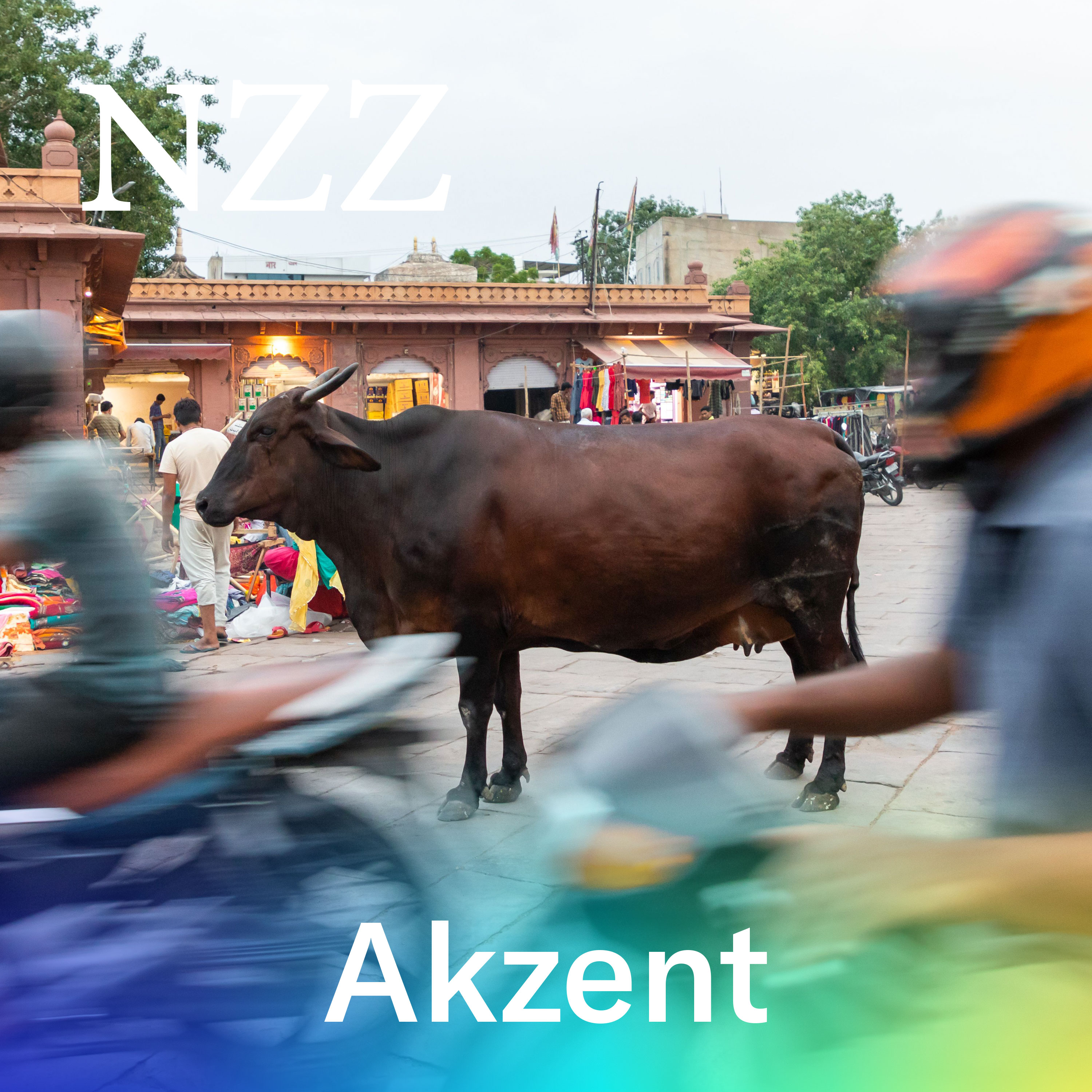 Beef ums Rind: Indien streitet sich um seine heiligen Kühe episode artwork