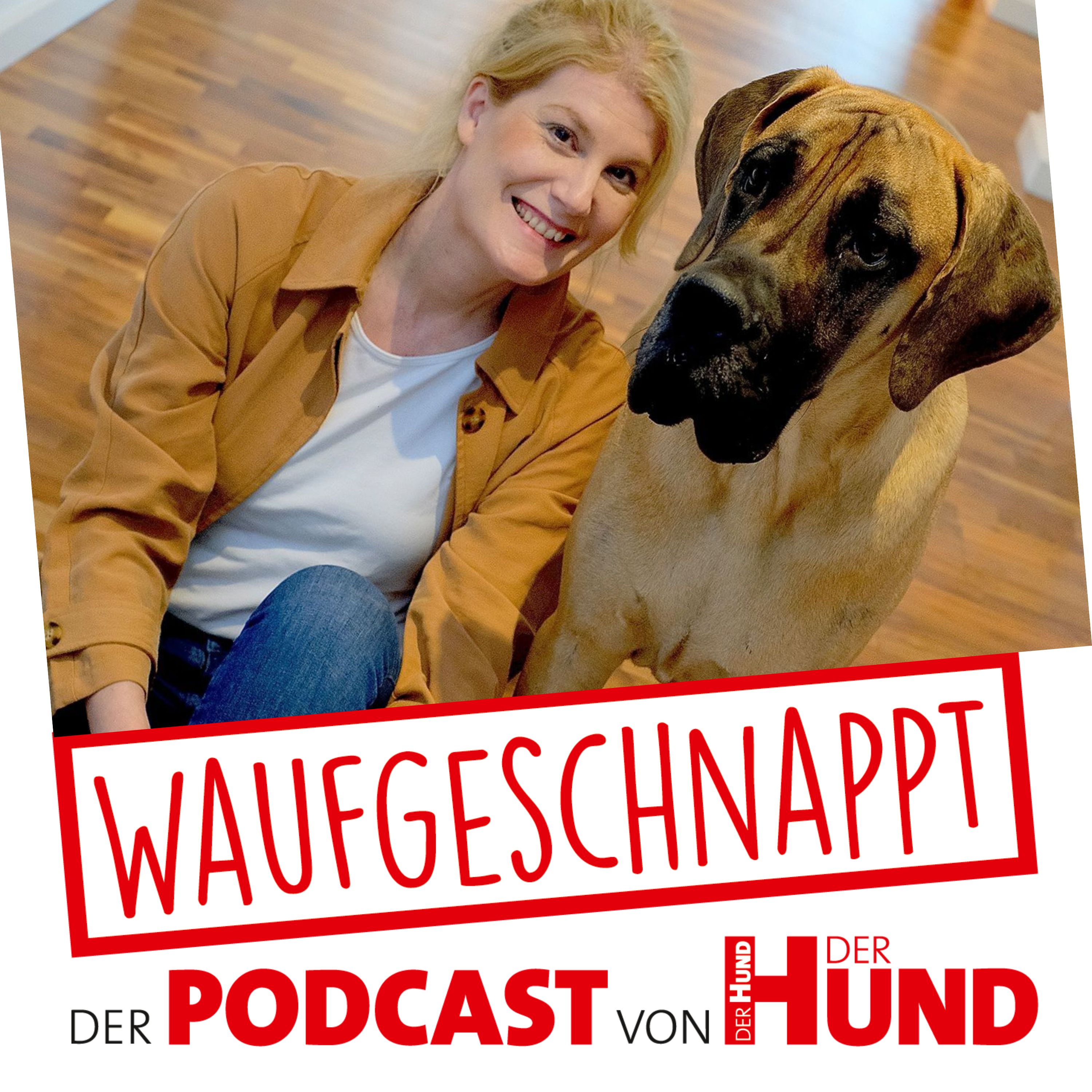 Waufgeschnappt - der Podcast von DER HUND