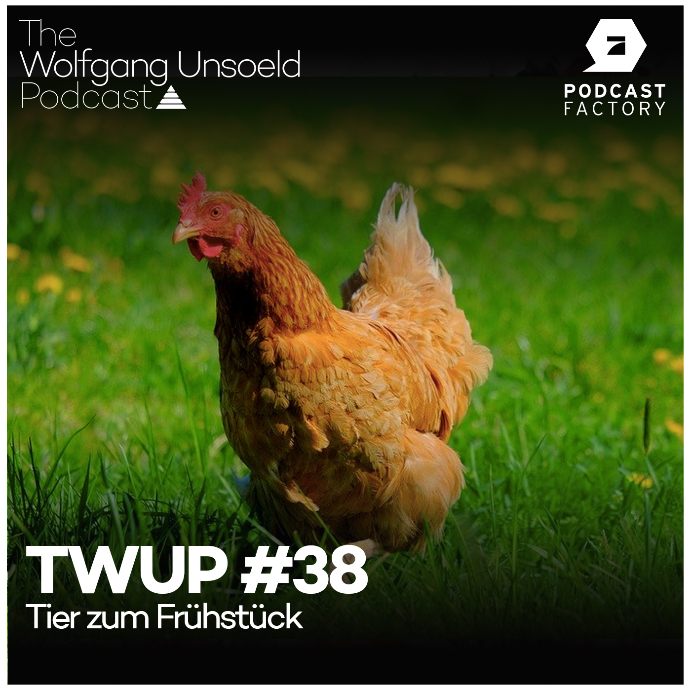 Therapie & Training Talk