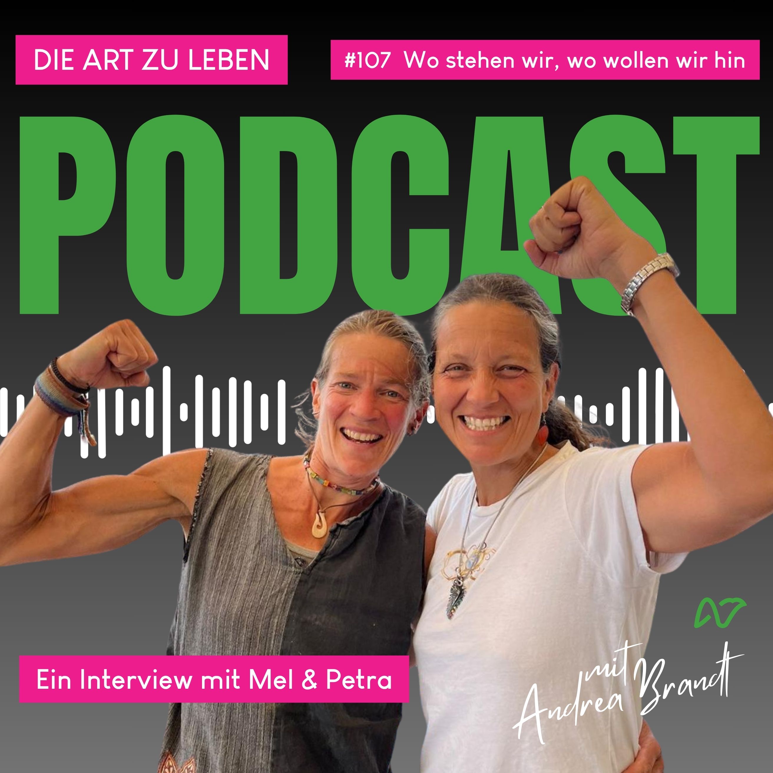 #107 Wo stehen wir, wo wollen wir hin? Interview mit Mel & Petra episode artwork