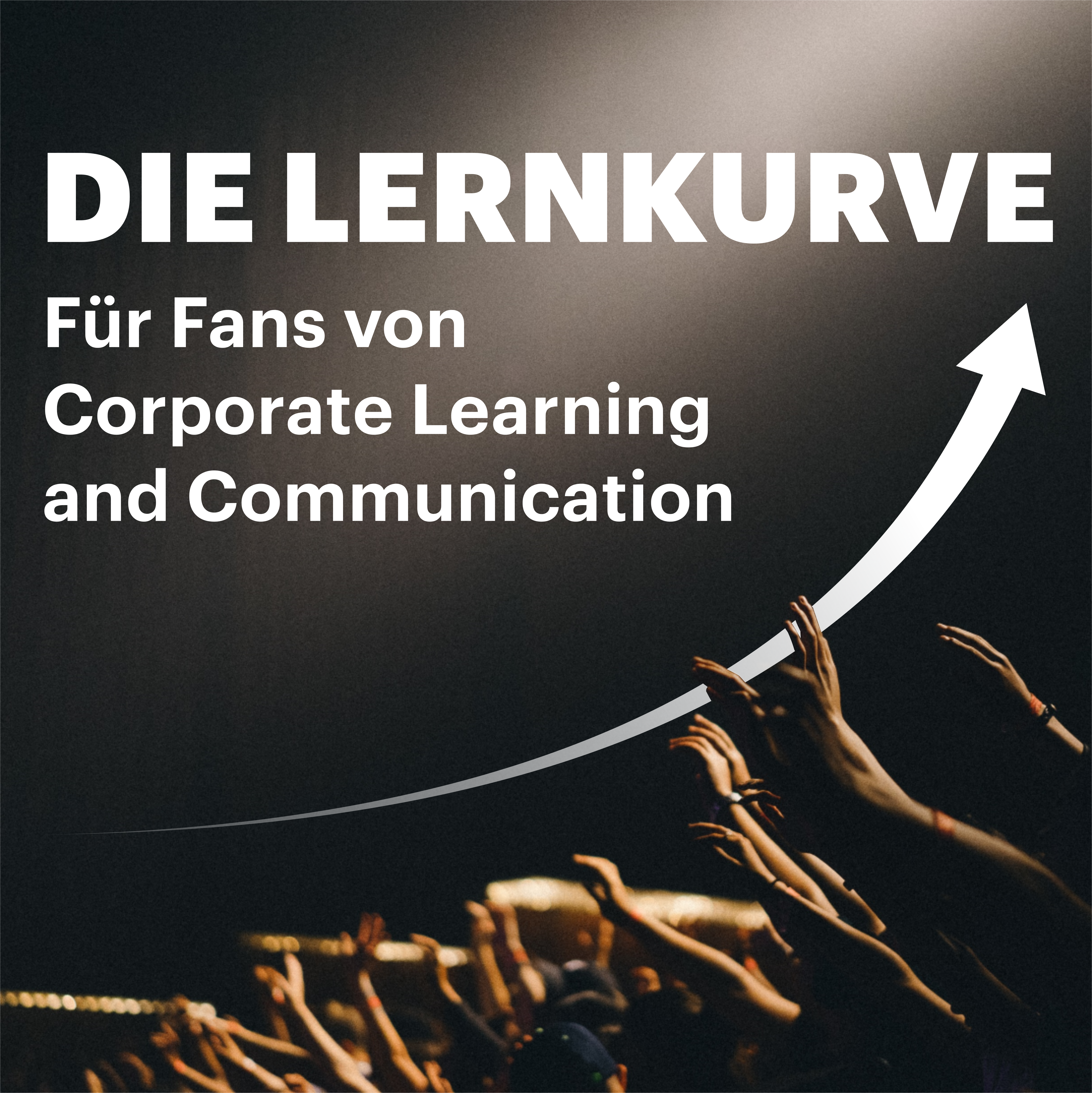 Die Lernkurve