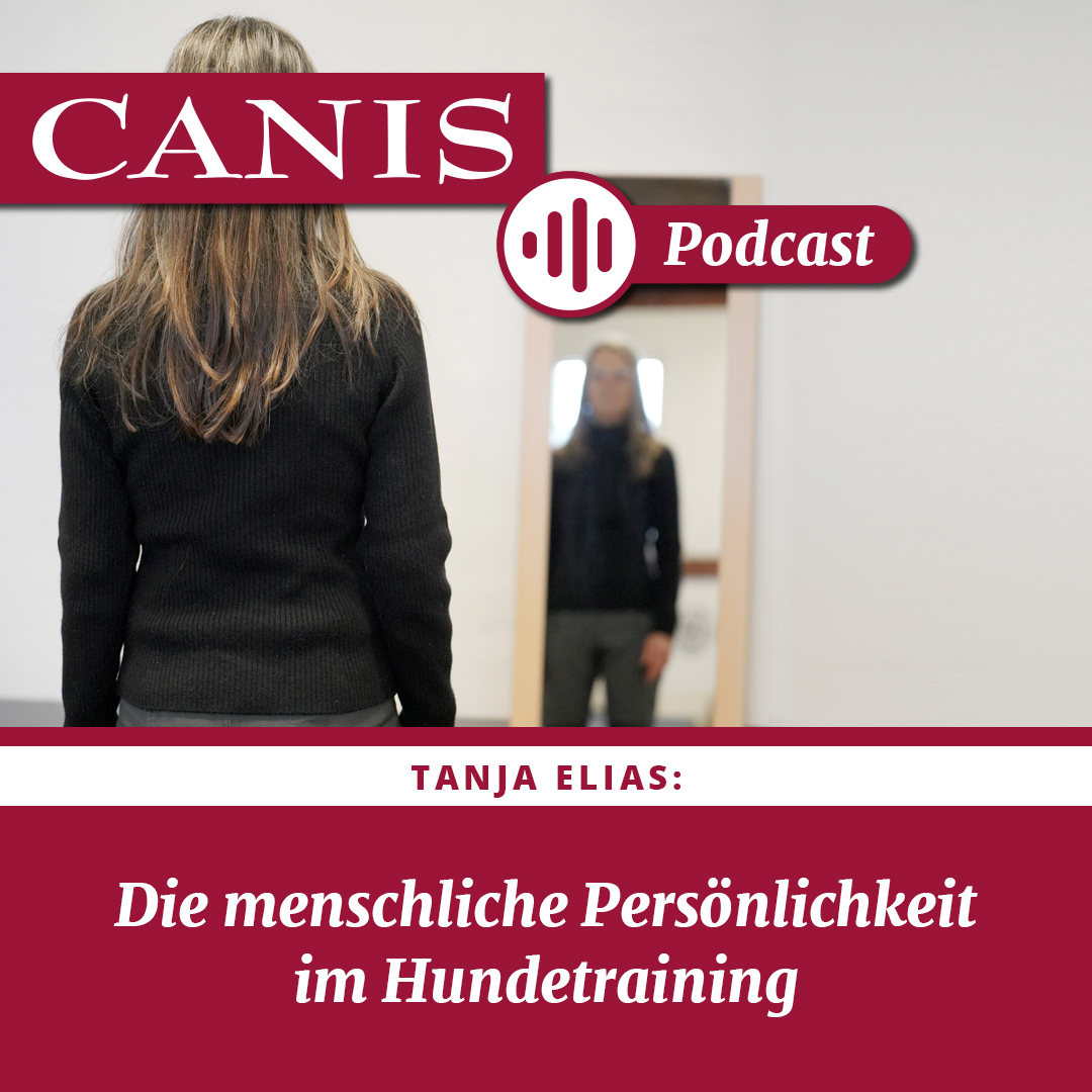 Die menschlichte Persönlichkeit im Hundetraining