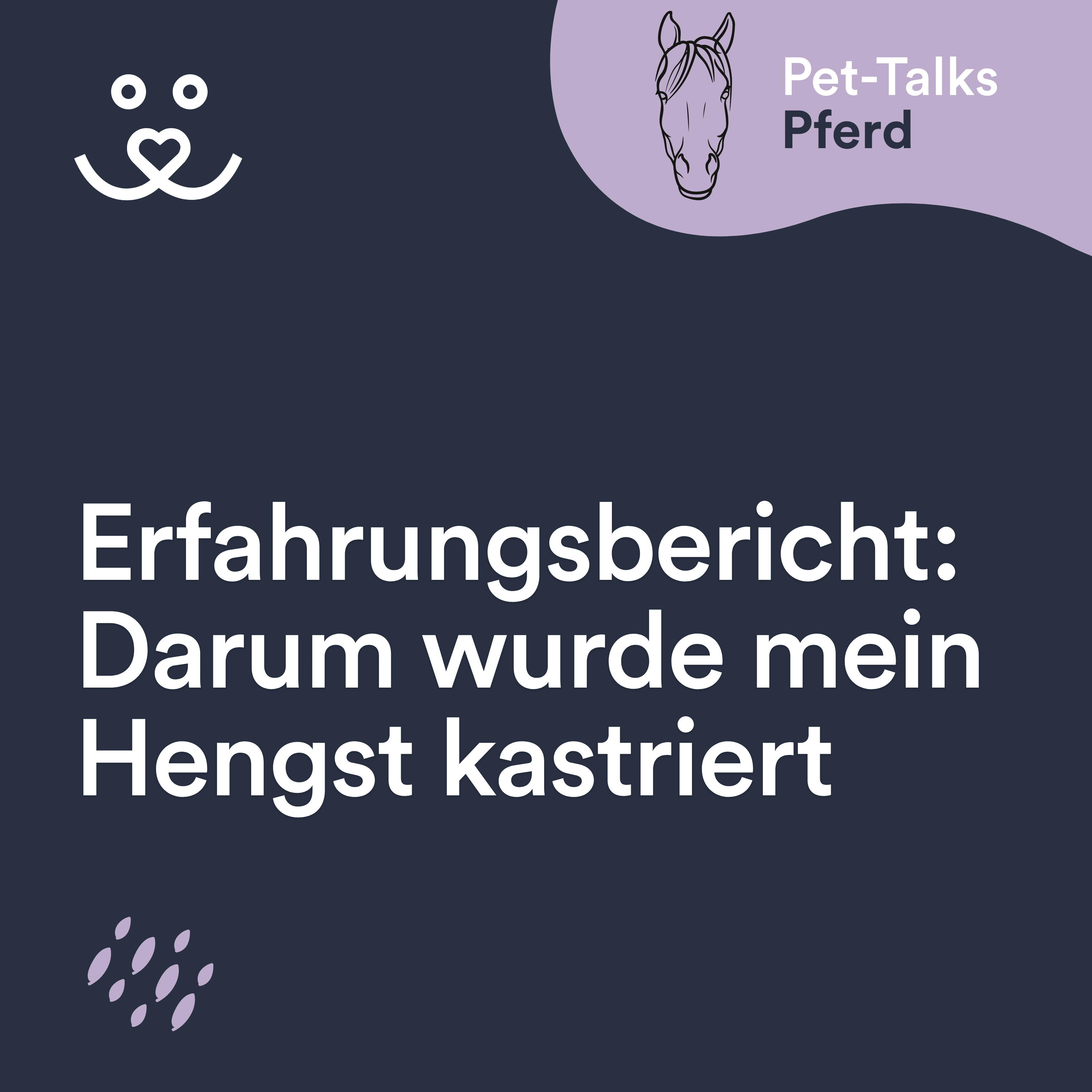 Pet-Talks: Pferd – der Ratgeber-Podcast von DeineTierwelt