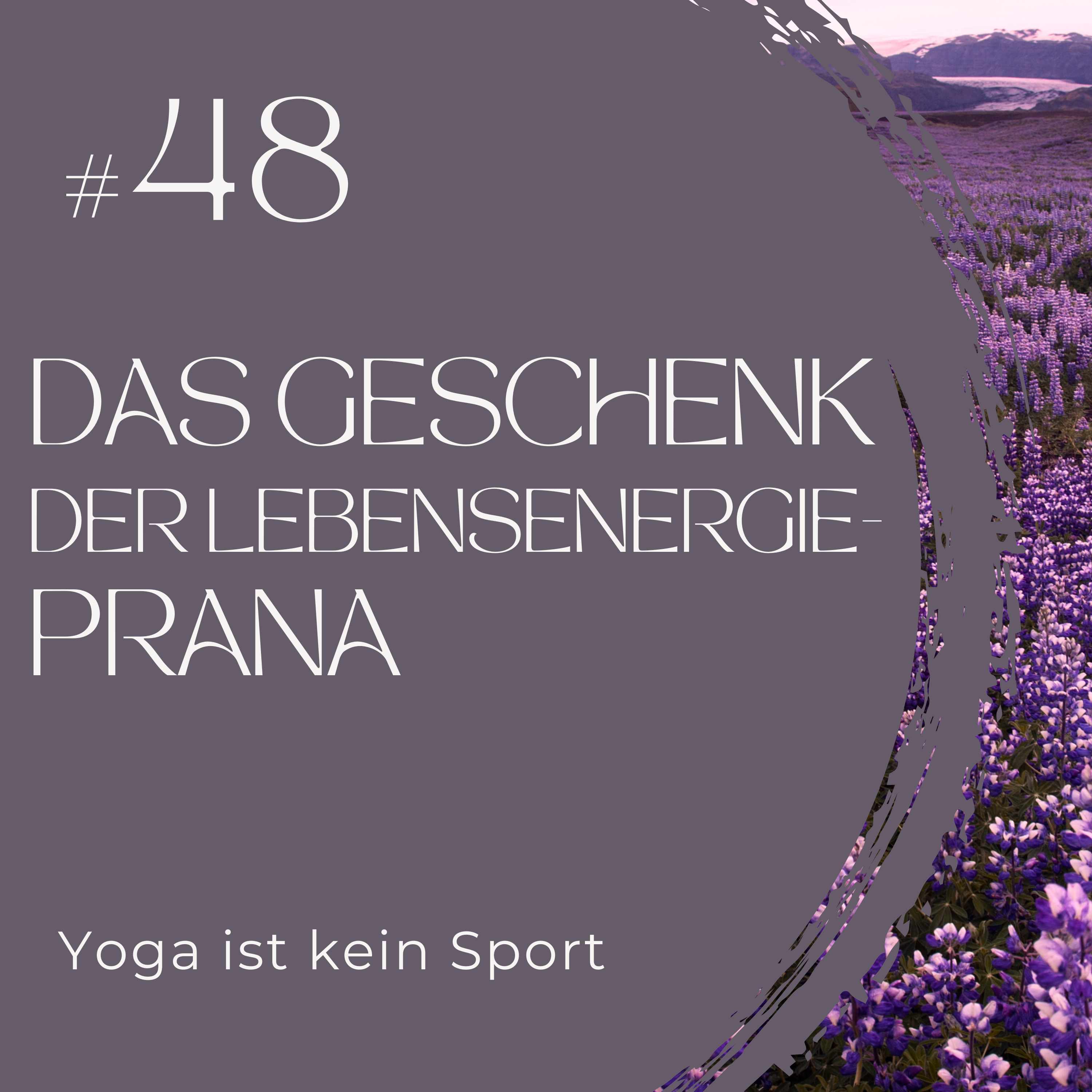 #48 Das Geschenk der Lebensenergie - Prana