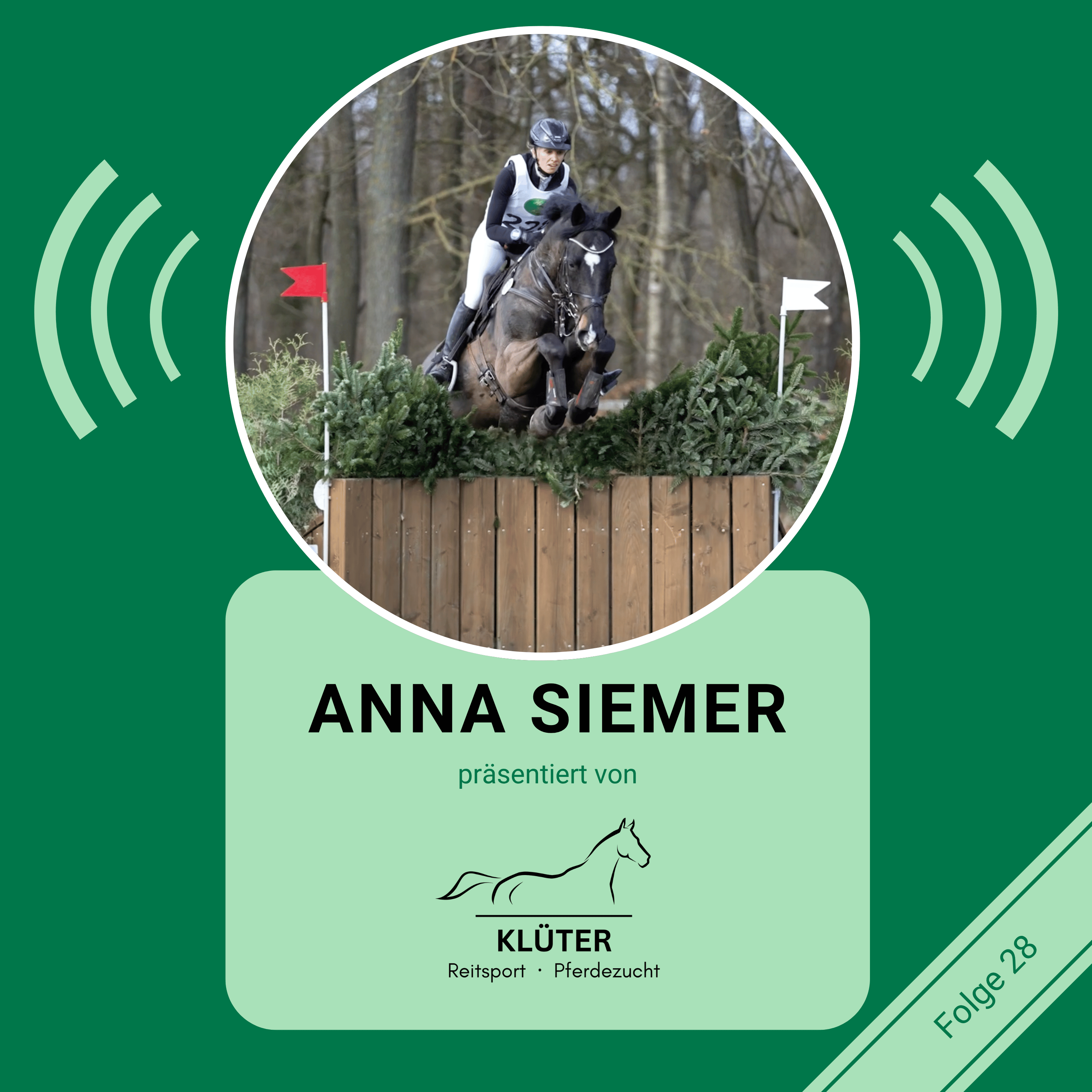 STAFFEL 5 FOLGE #28: Junge Pferde, große Fortschritte & Avondale News – Update von Anna Siemer I Invincible