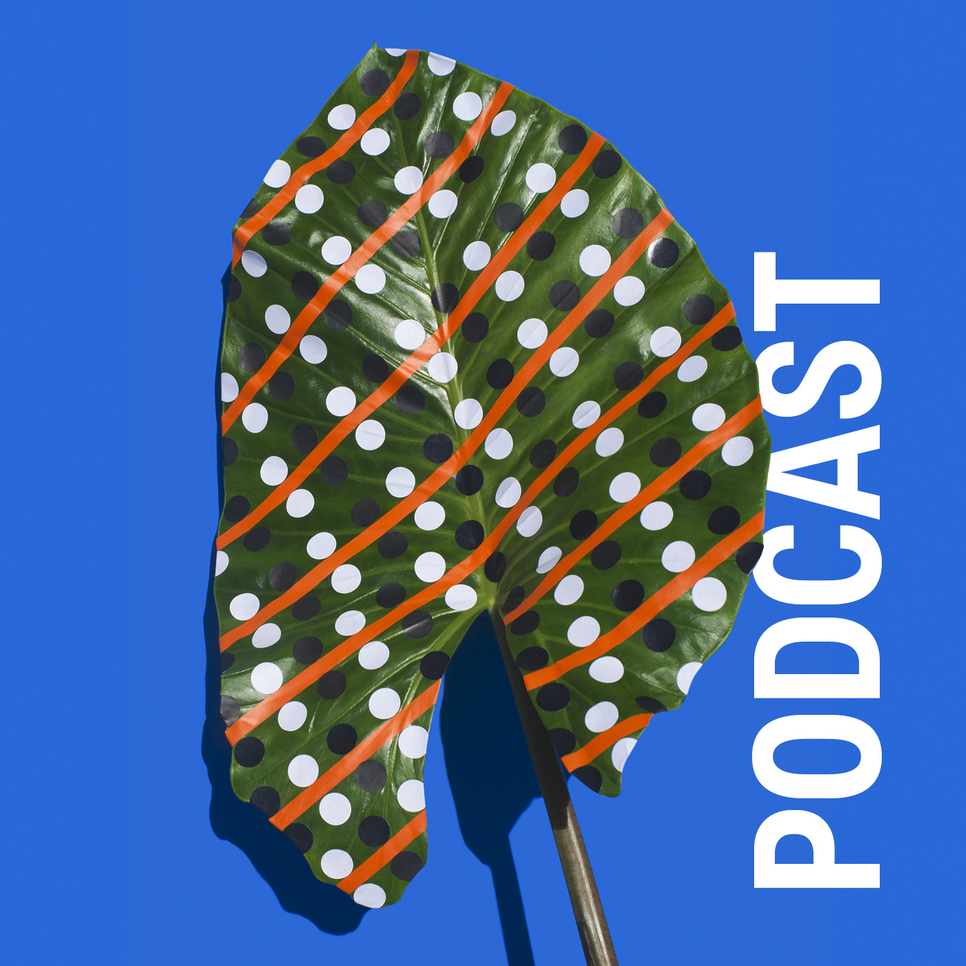 Folge 4: Sind Bäume intelligent?