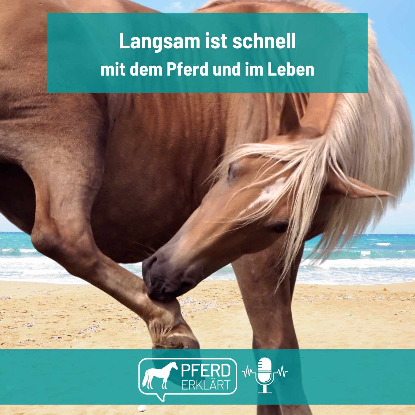 Langsam ist schnell: Mit Pferden und im Leben