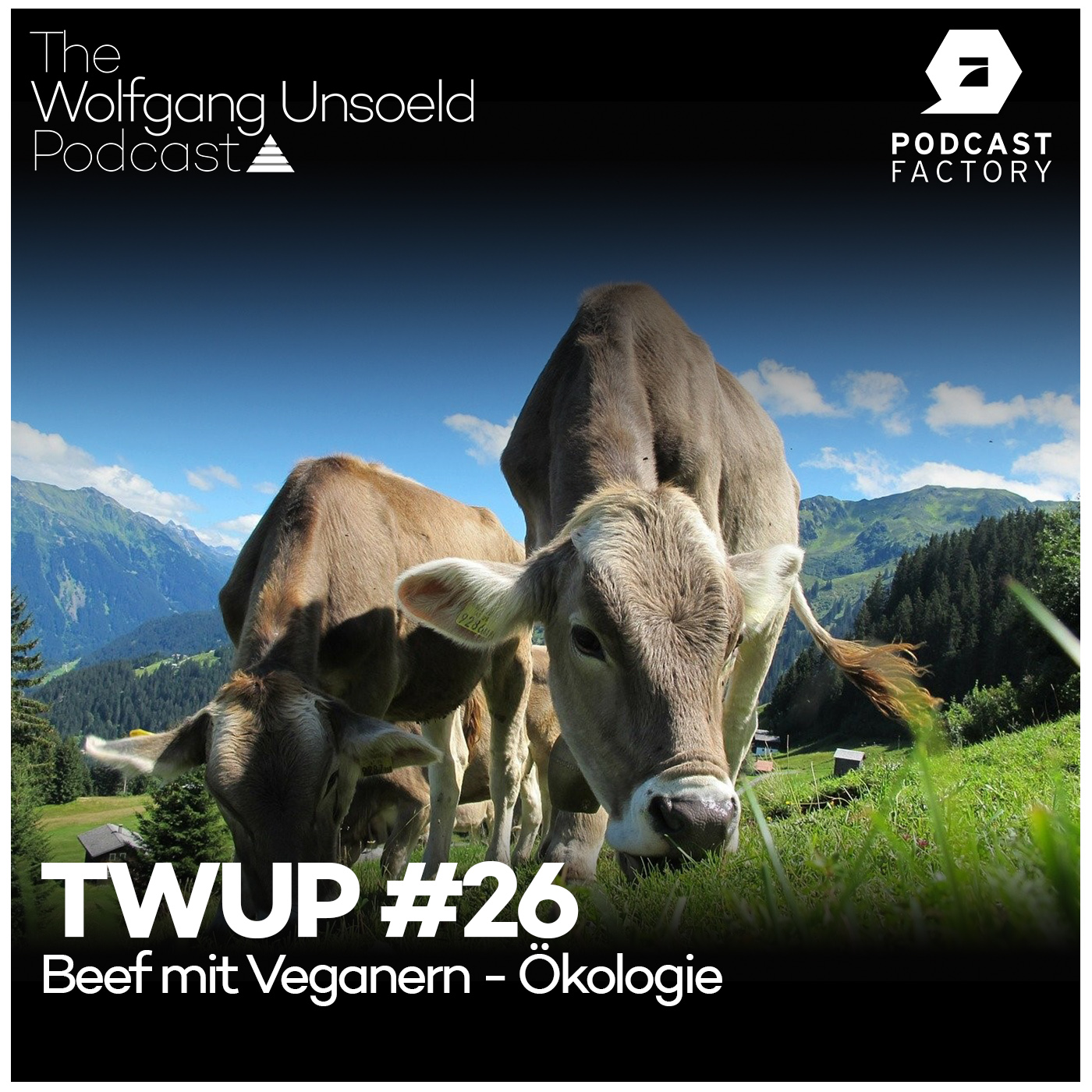 Therapie & Training Talk