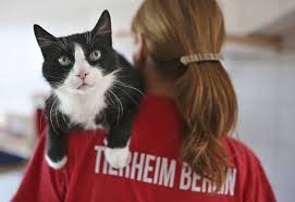 Ausgesetzt wie Müll