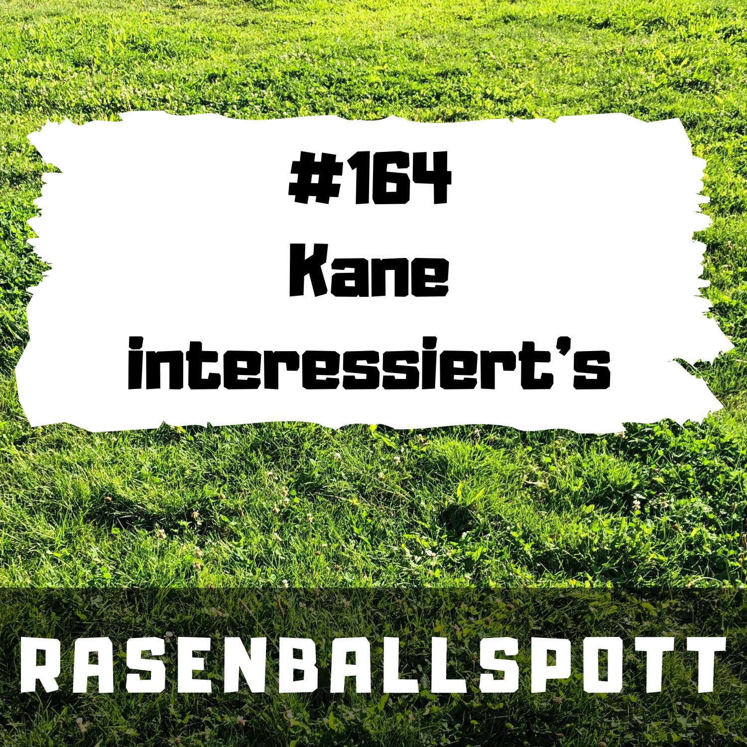 RASENBALLSPOTT