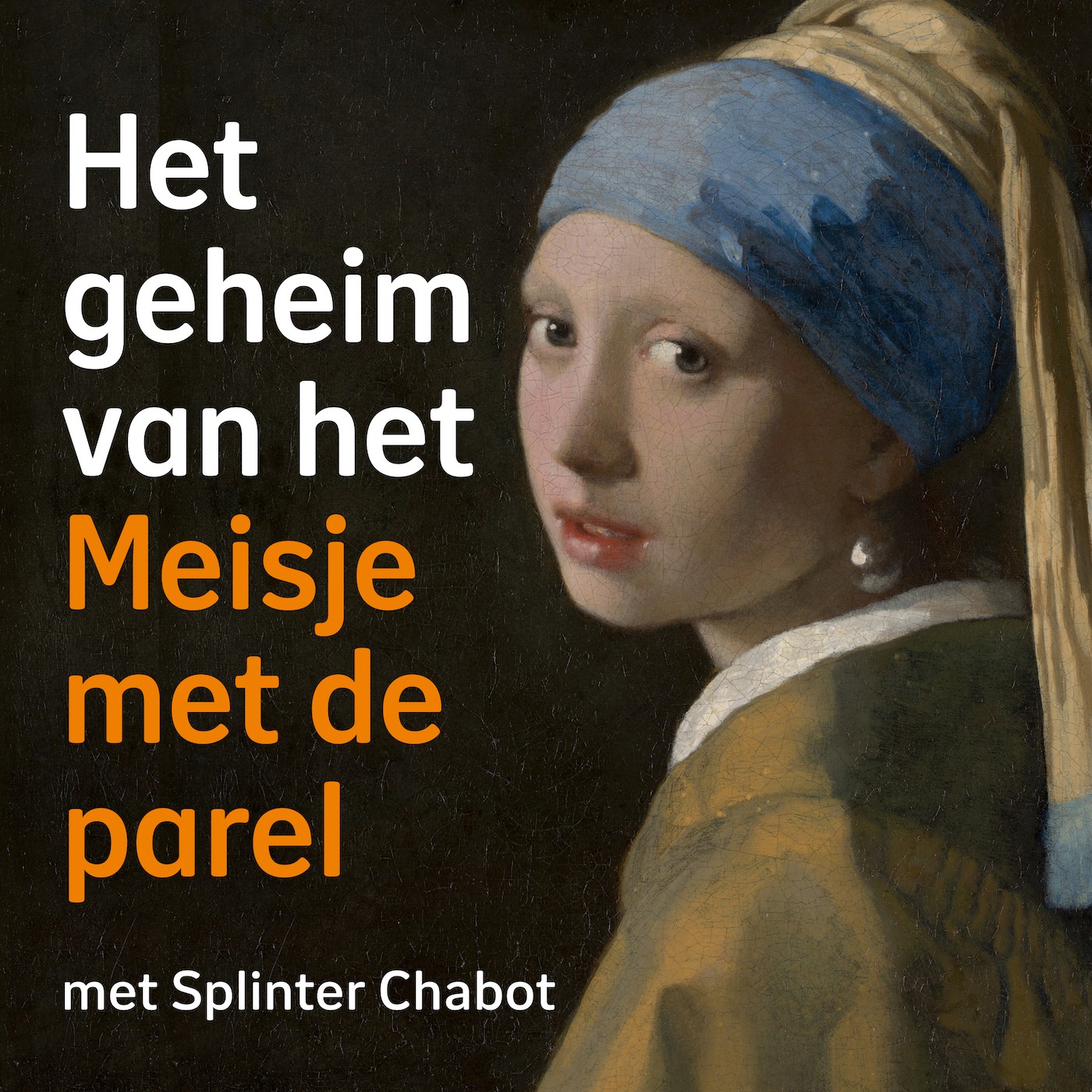 De sfinx van Delft | Het geheim van het Meisje met de parel Afl 1