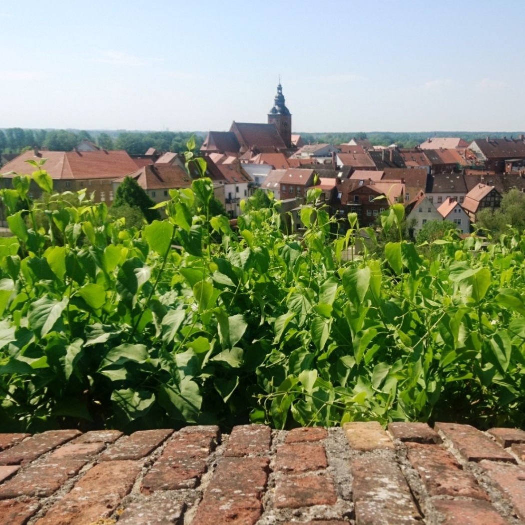 Altmark-Podcast