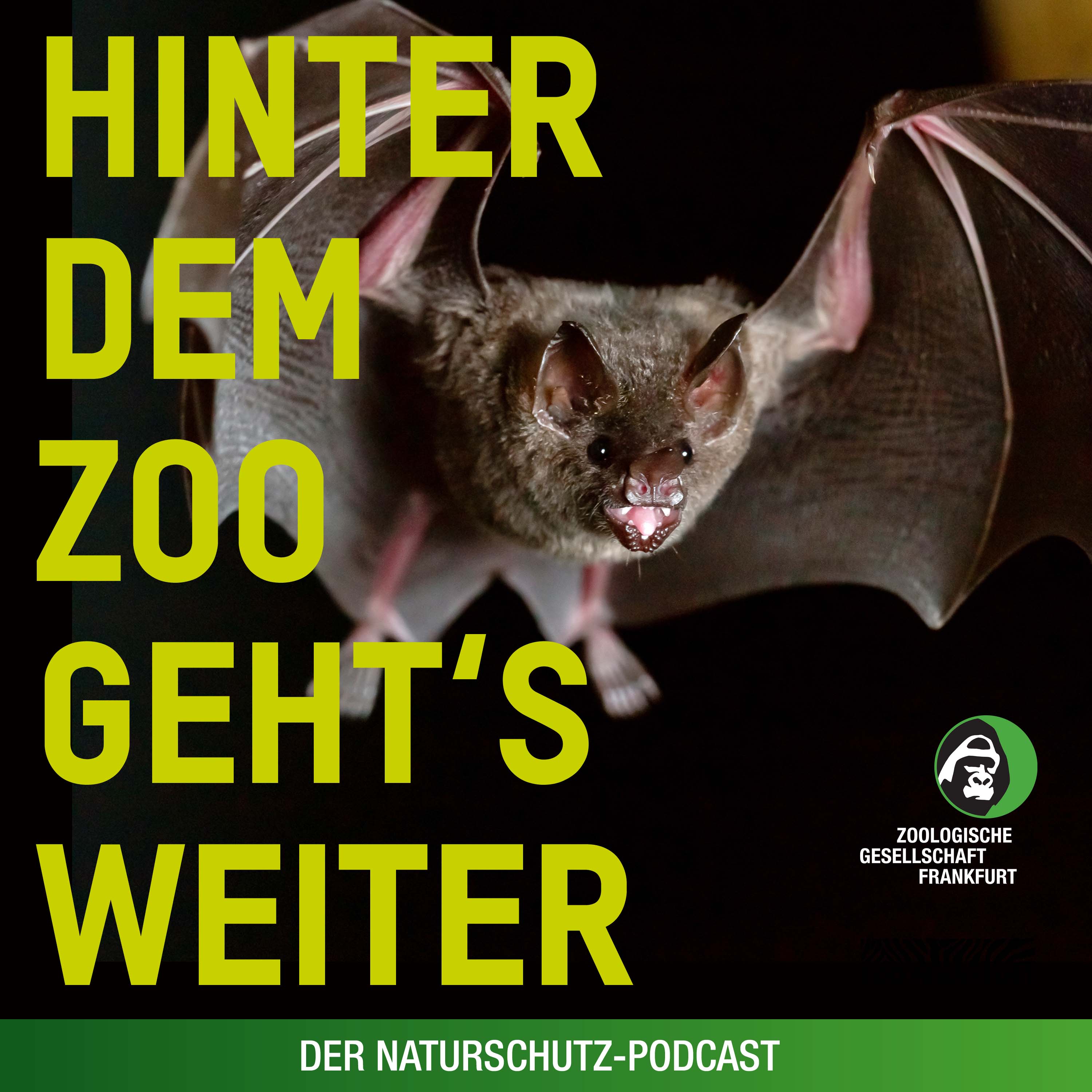 Hinter dem Zoo geht\'s weiter - Der Naturschutzpodcast aus Frankfurt