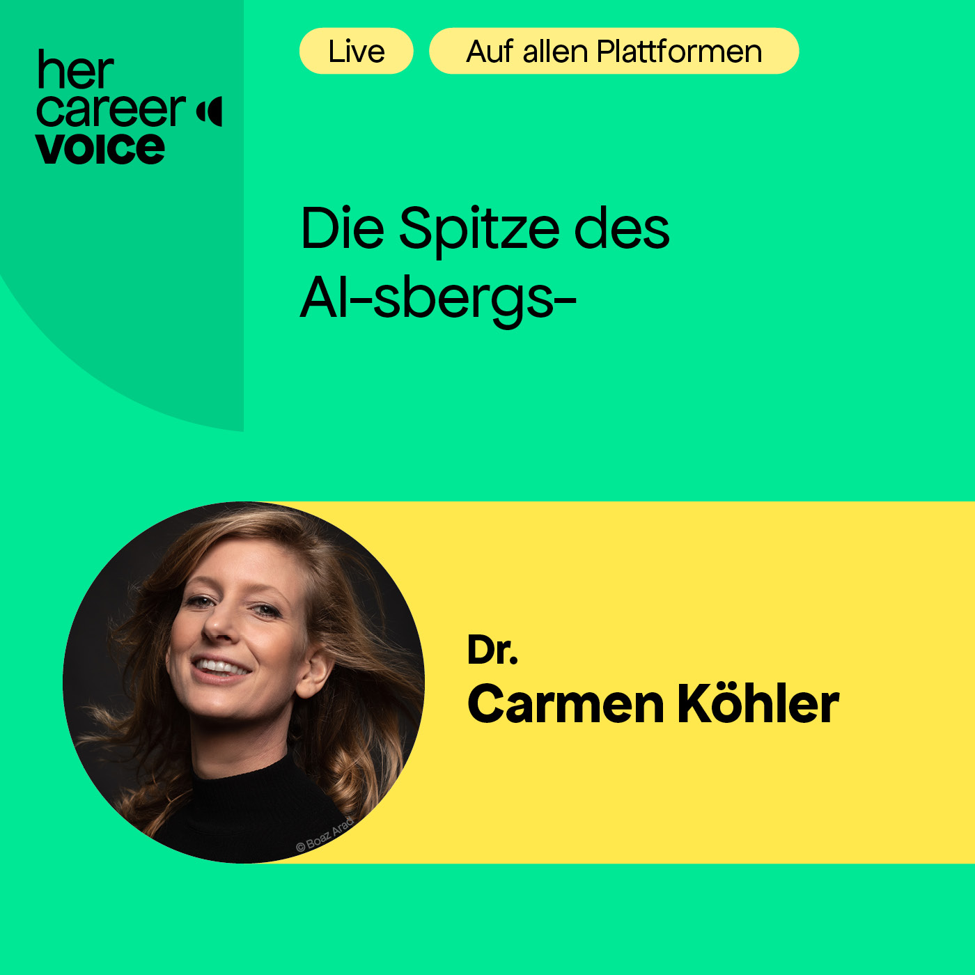 Die Spitze des AI-sbergs episode artwork