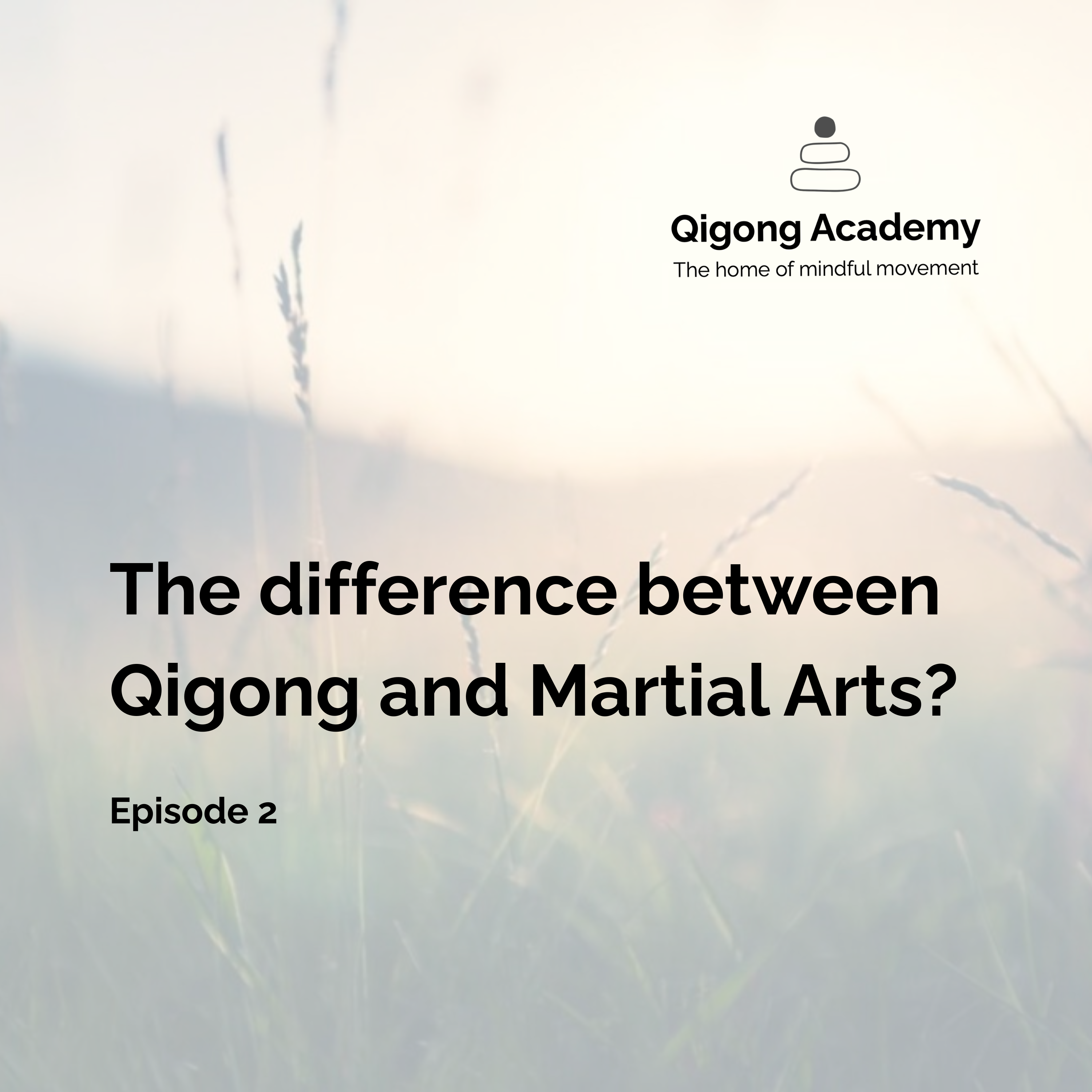 Episode 2 - What is the Difference between Martial and Qigong episode artwork