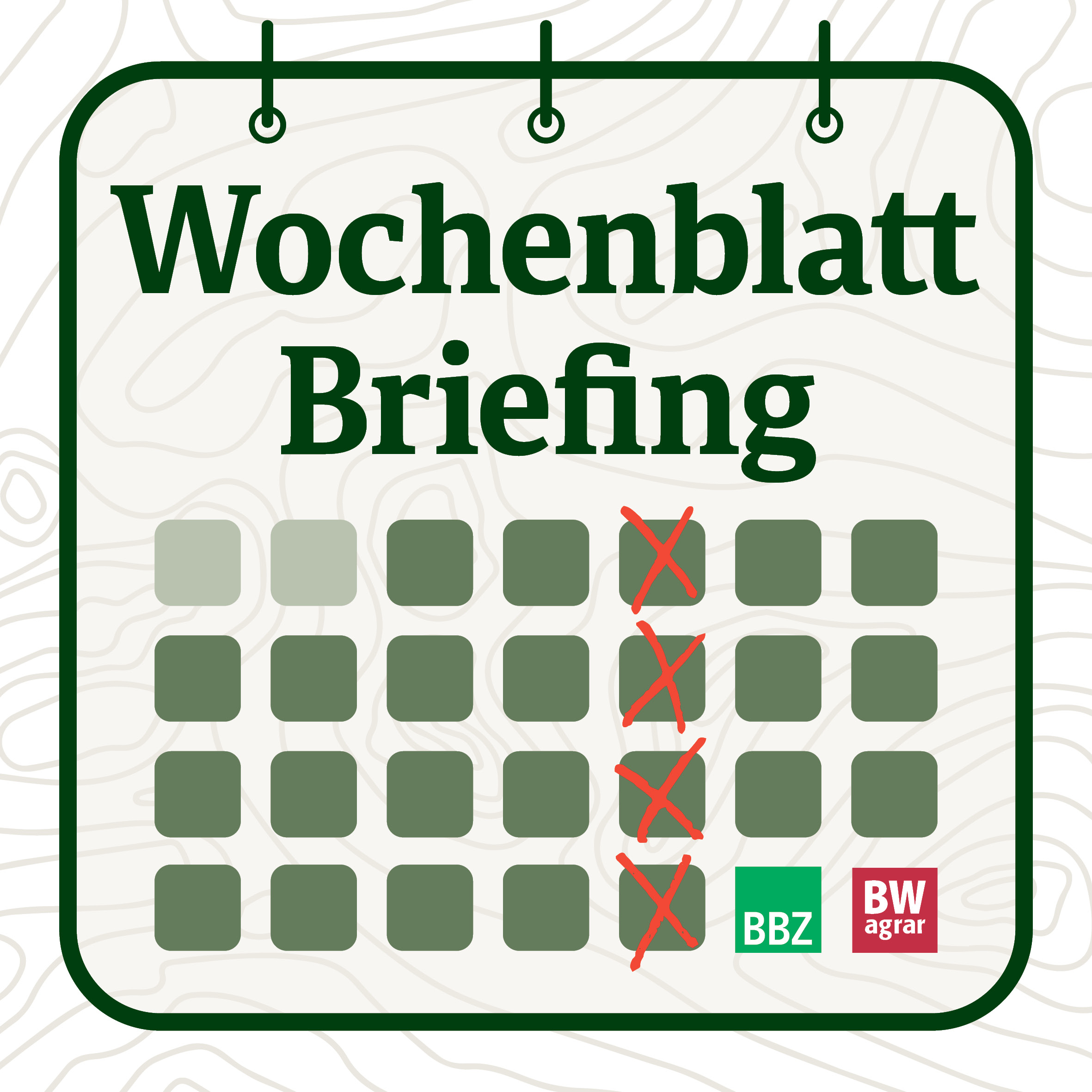 Wochenblatt Briefing Ausgabe 31 episode artwork