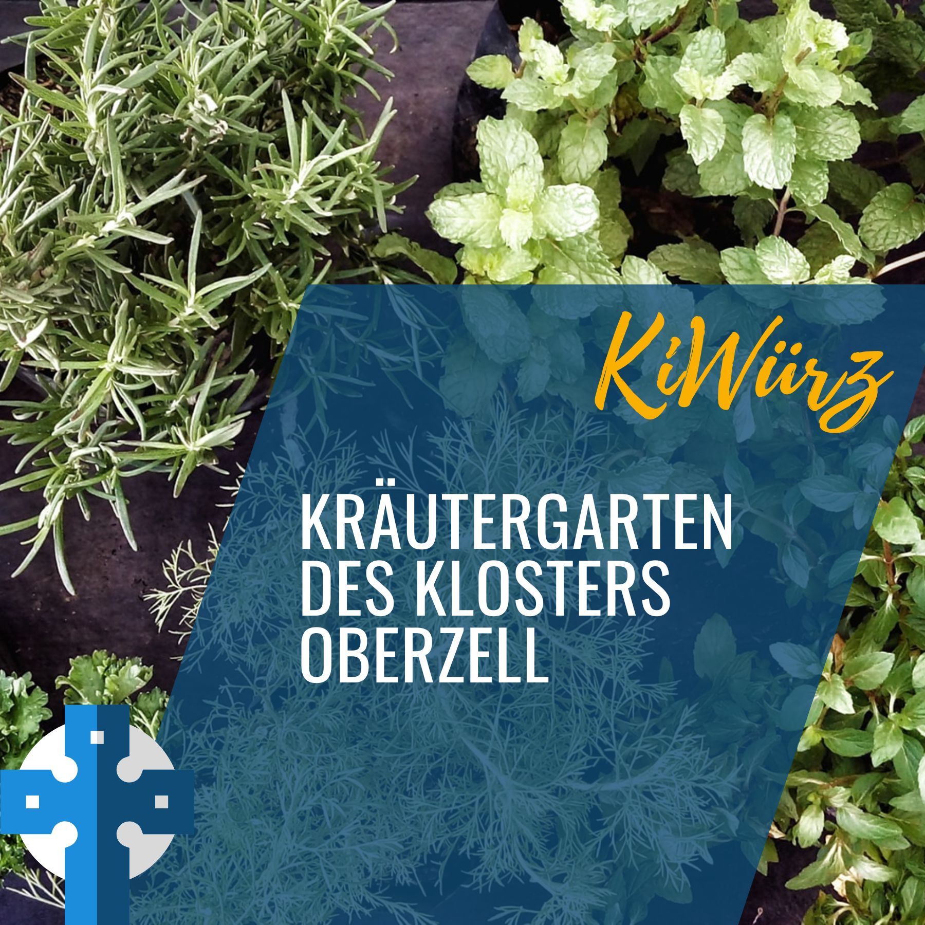 Radio Bistum Würzburg