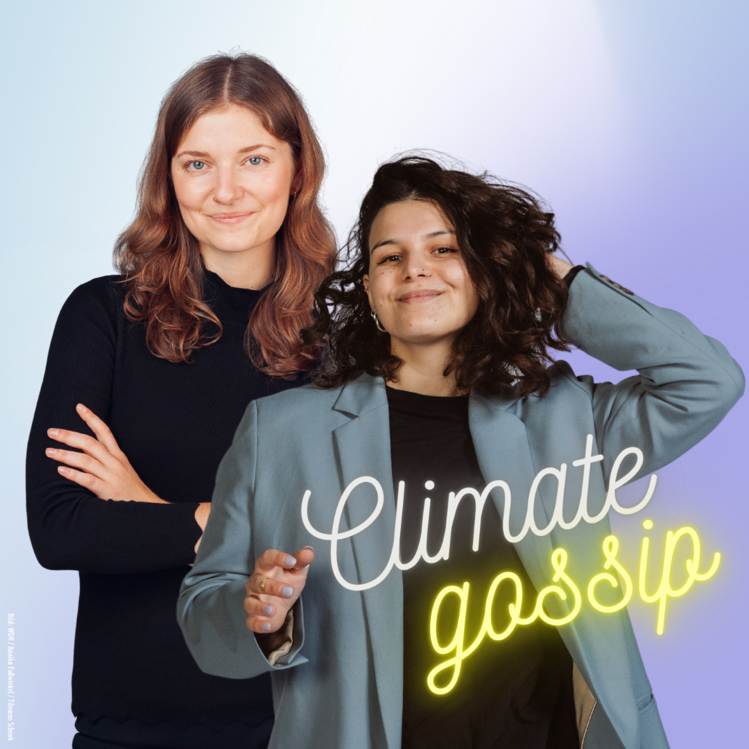 Climate Gossip