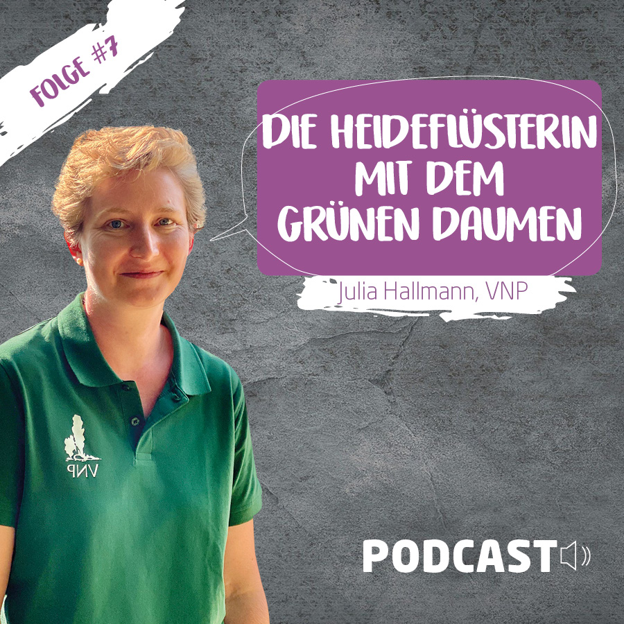 HEIDE Geflüster