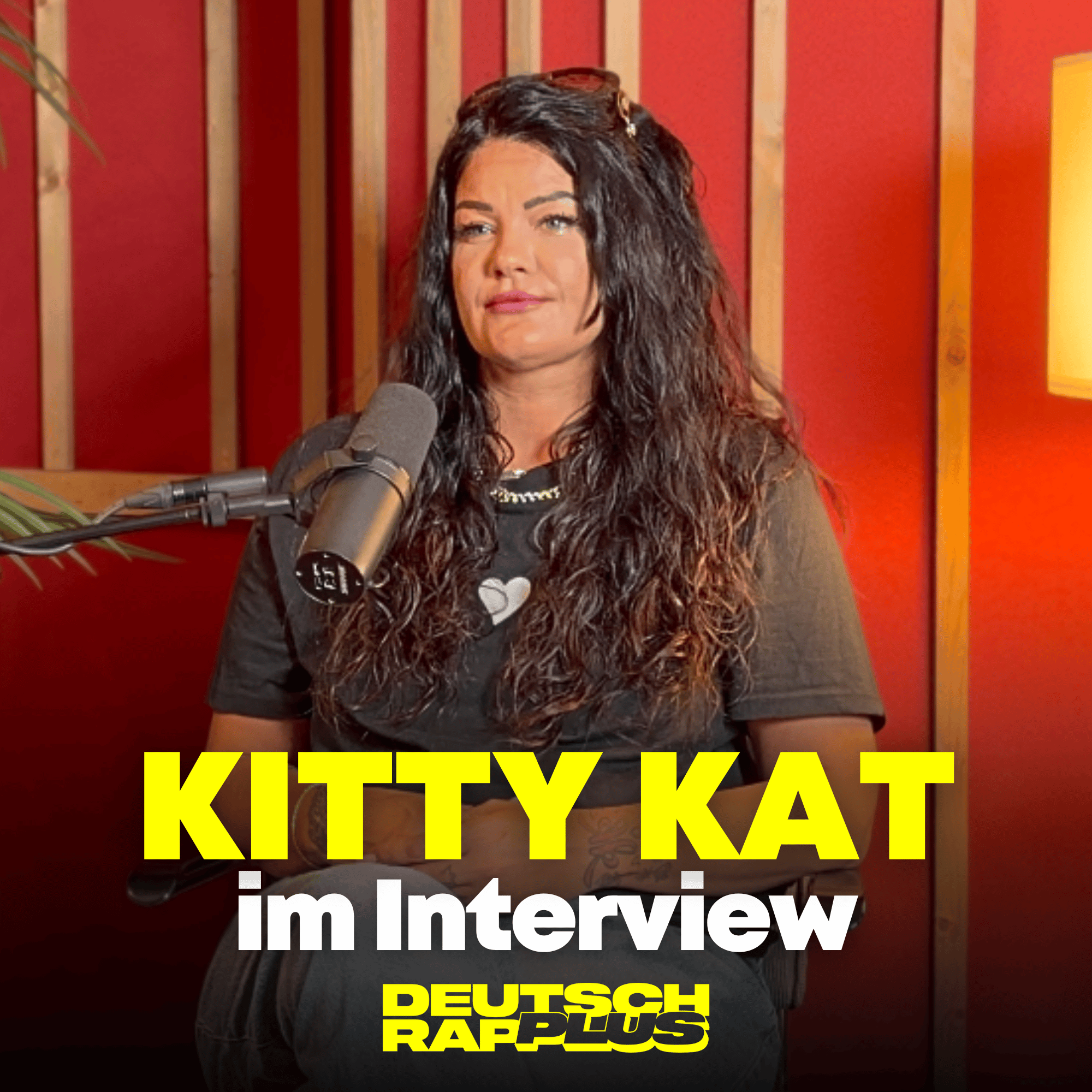 Kitty Kat Interview: Aggro Ansage Nr. 6 | Polizeieinsatz durch Ex | Beef mit Schwesta Ewa | Shirin-Videodreh bei Shindy episode artwork