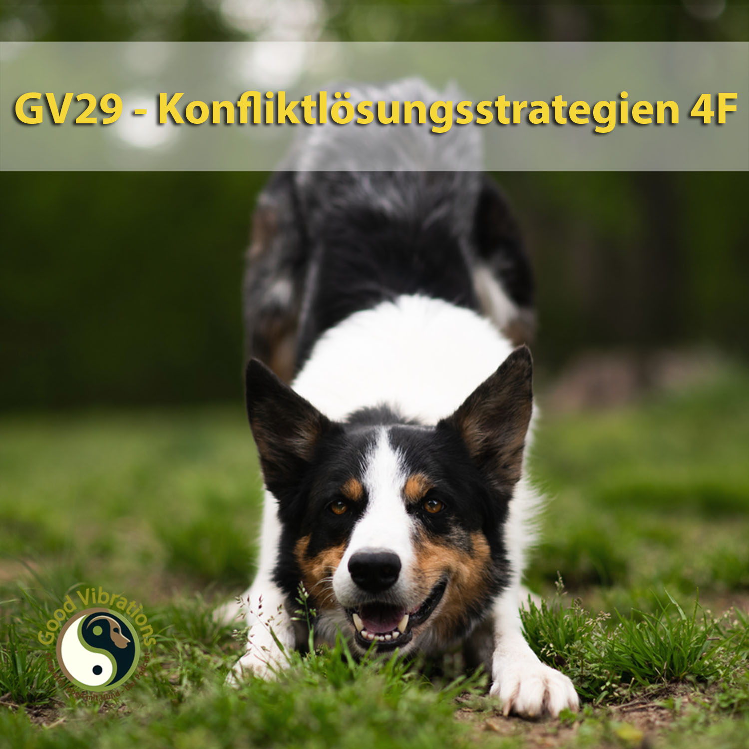 Good Vibrations. Entspannt leben mit Hunden. Der Podcast.