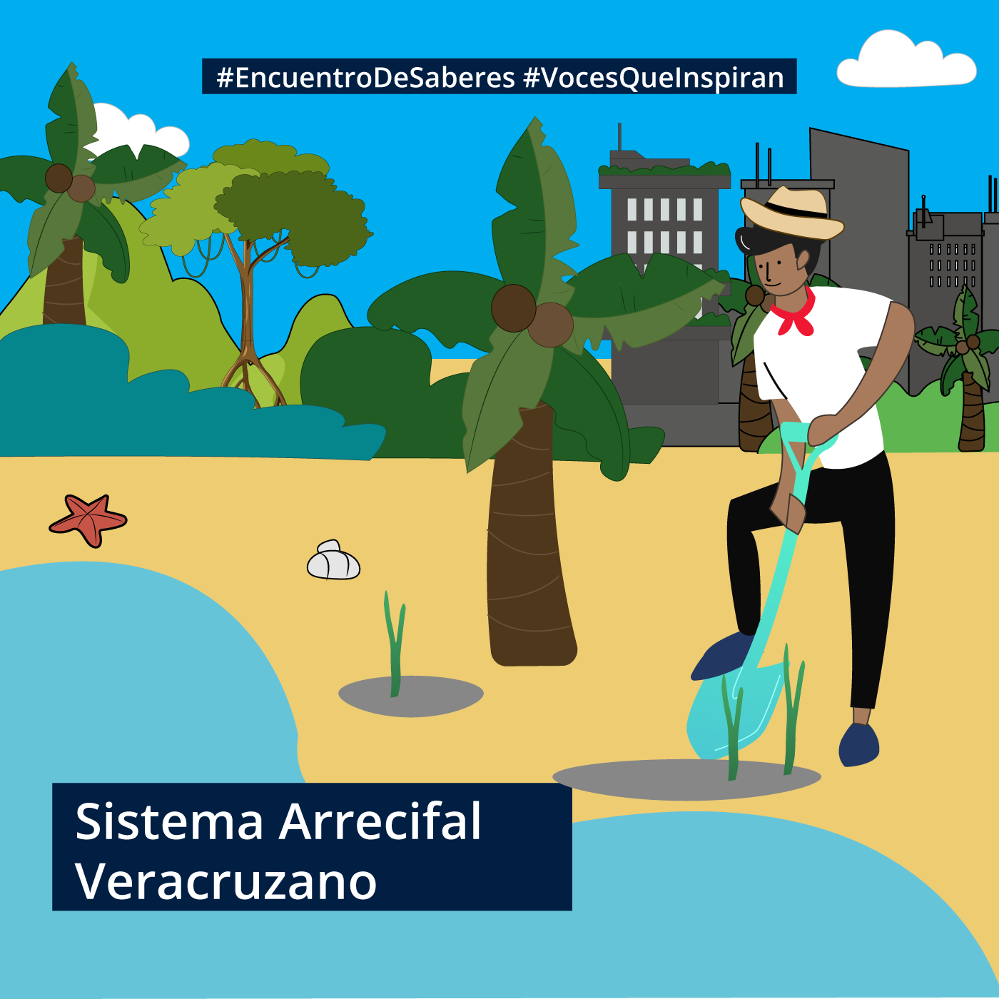 Ciudades y Transporte Sustentable