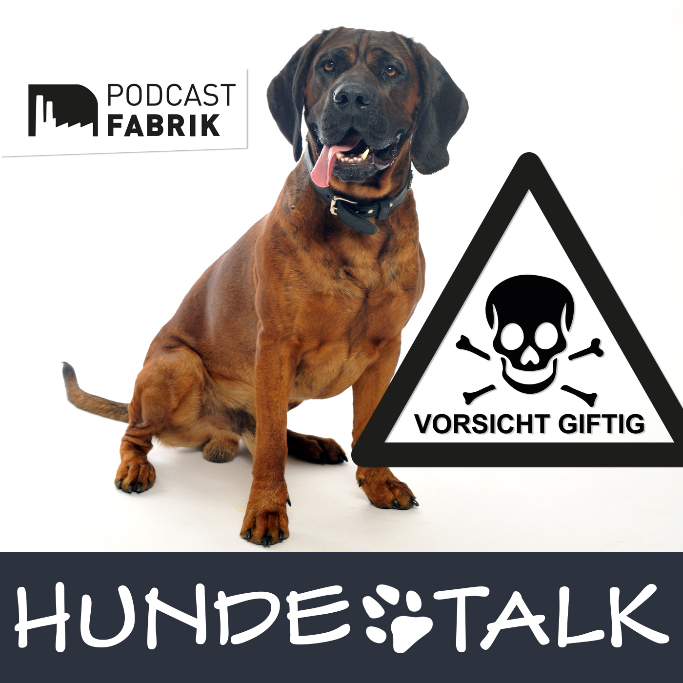 HUNDETALK - Dein Hunderunde-Podcast
