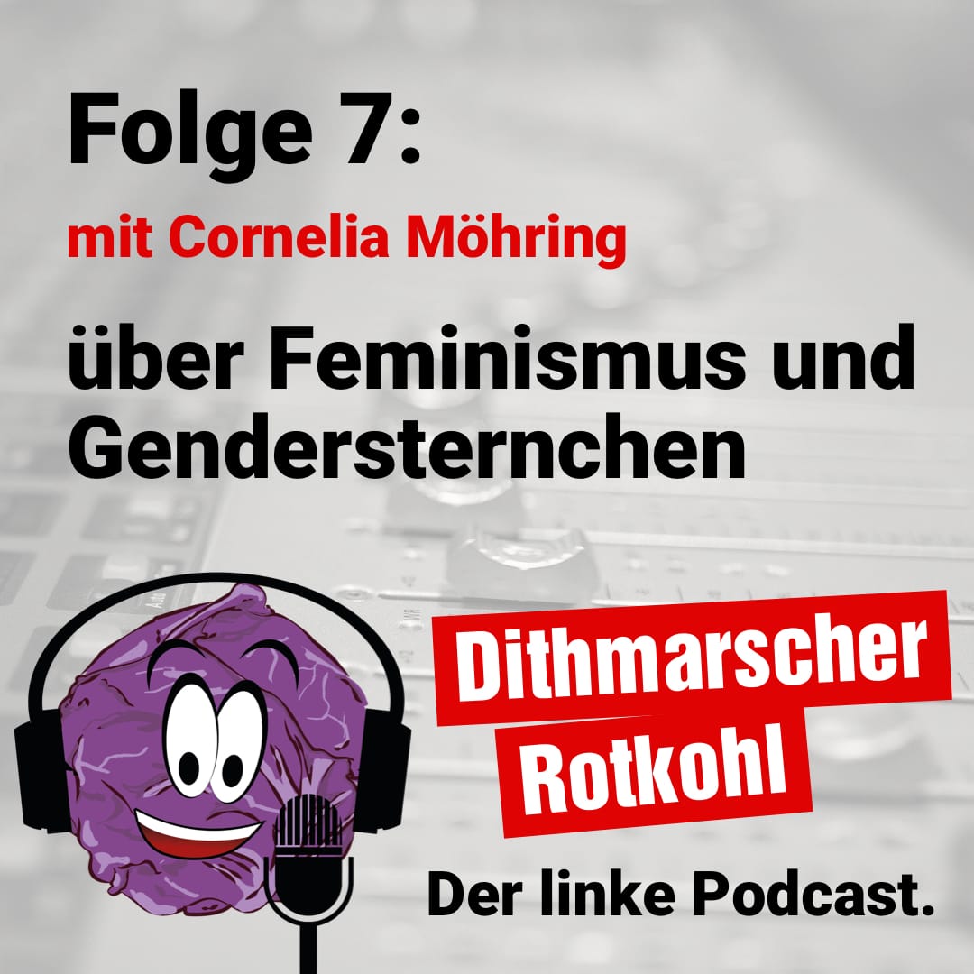 Feminismus und Gendersternchen - mit Cornelia Möhring