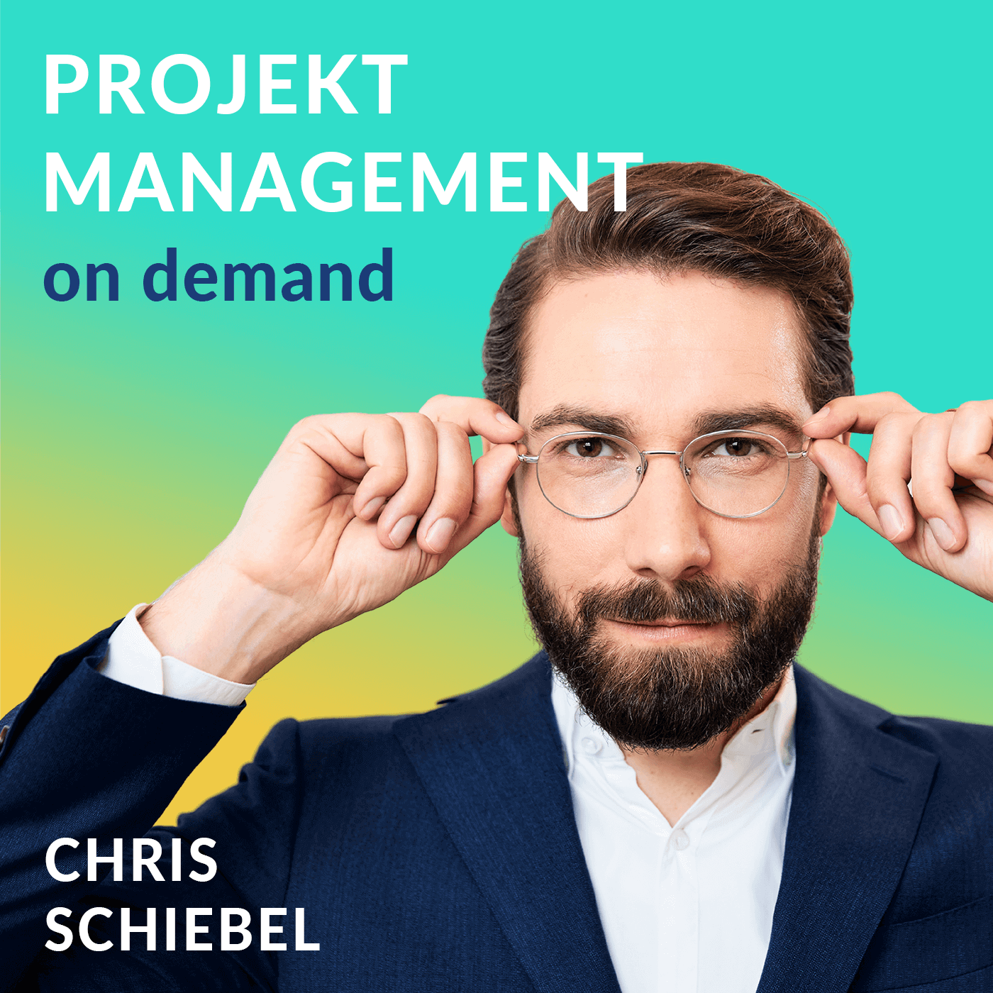 Projektmanagement on demand - ganzheitlich, fundiert, inspirierend inkl. Vorlagen für dein Projekt