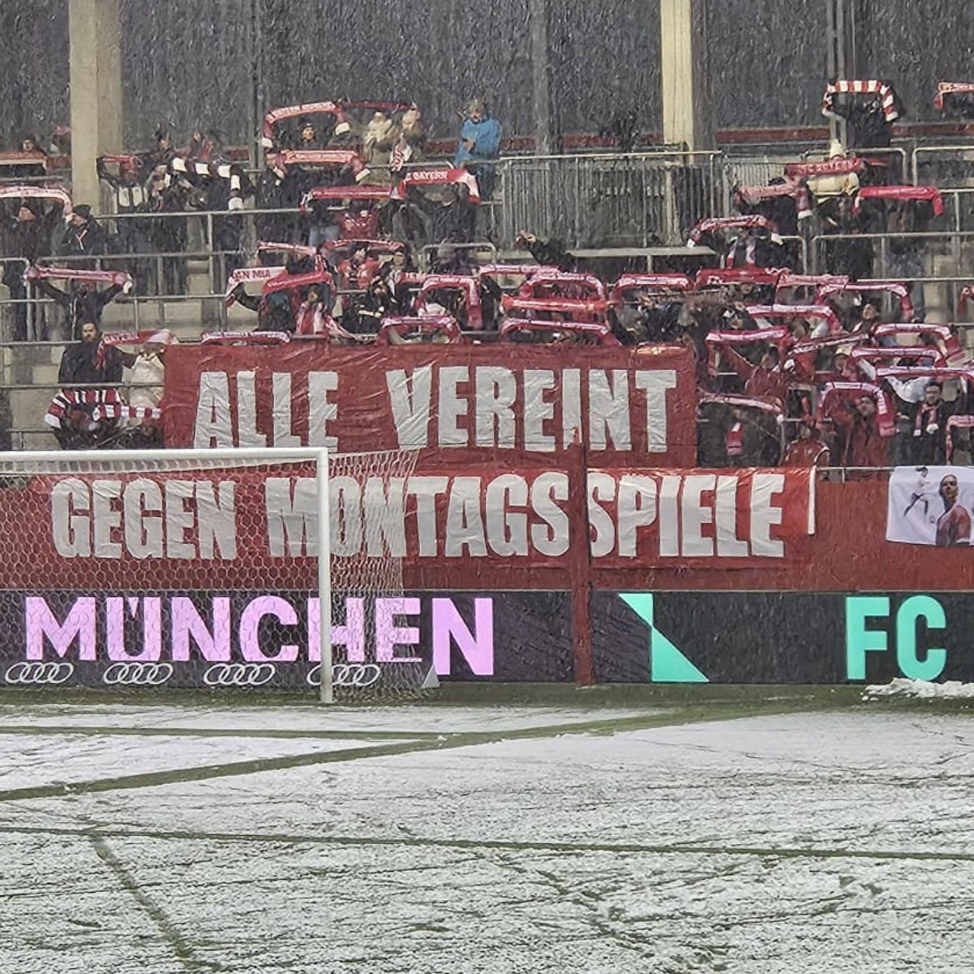 Das FCB Frauen Update