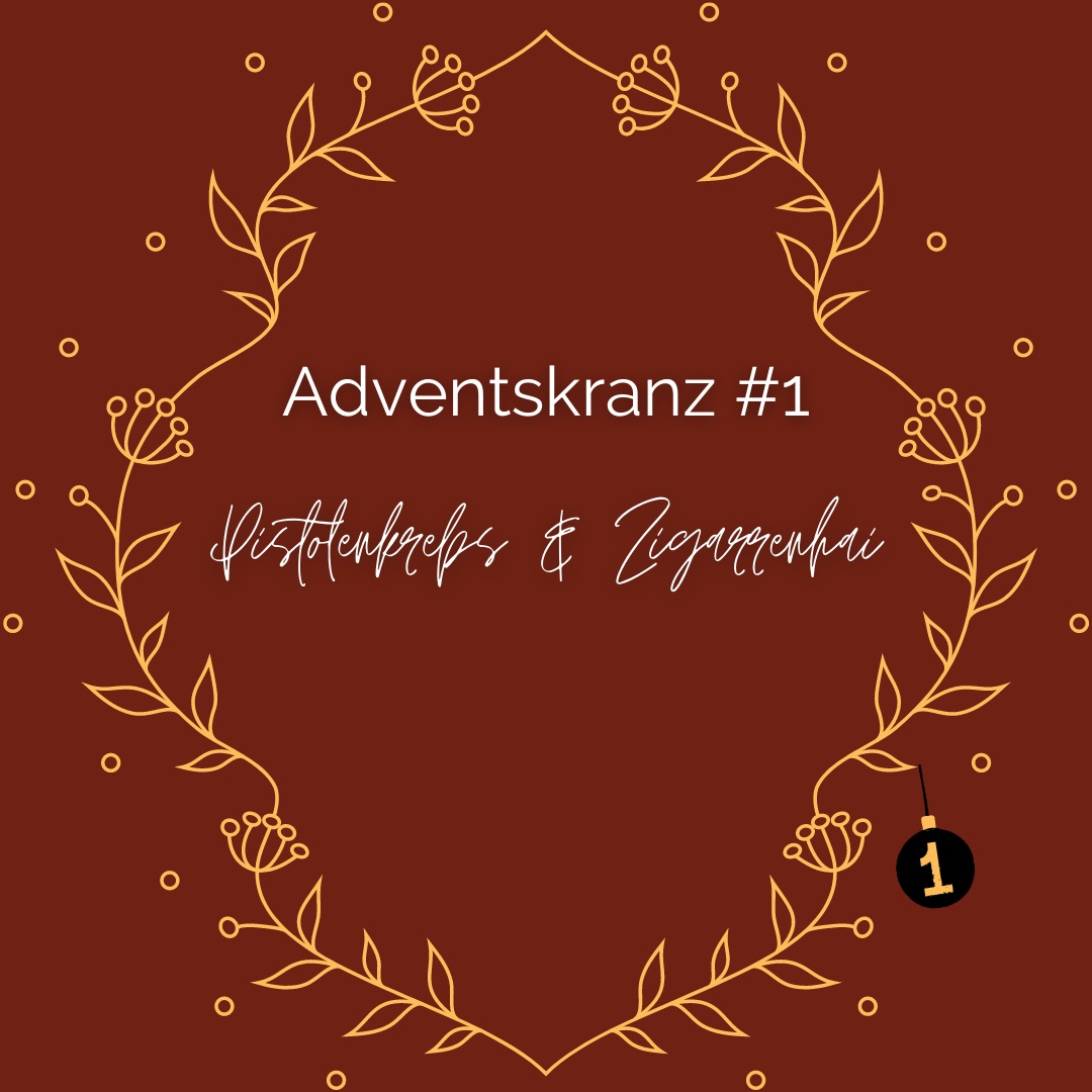 #diedreimjf - Adventskranz 2021 Kerze 1: Zigarrenhai und Pistolenkrebs episode artwork