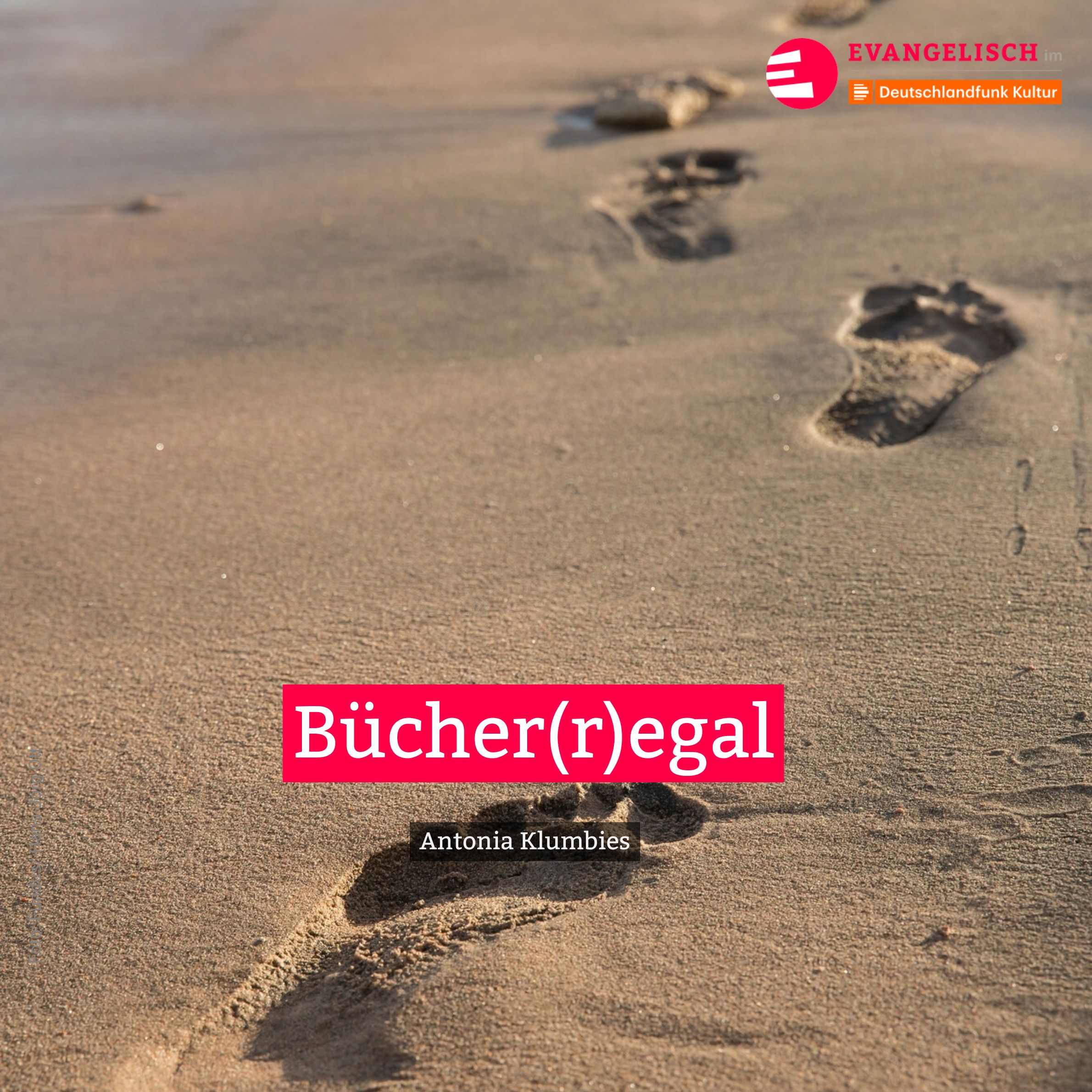 Bücher(r)egal episode artwork