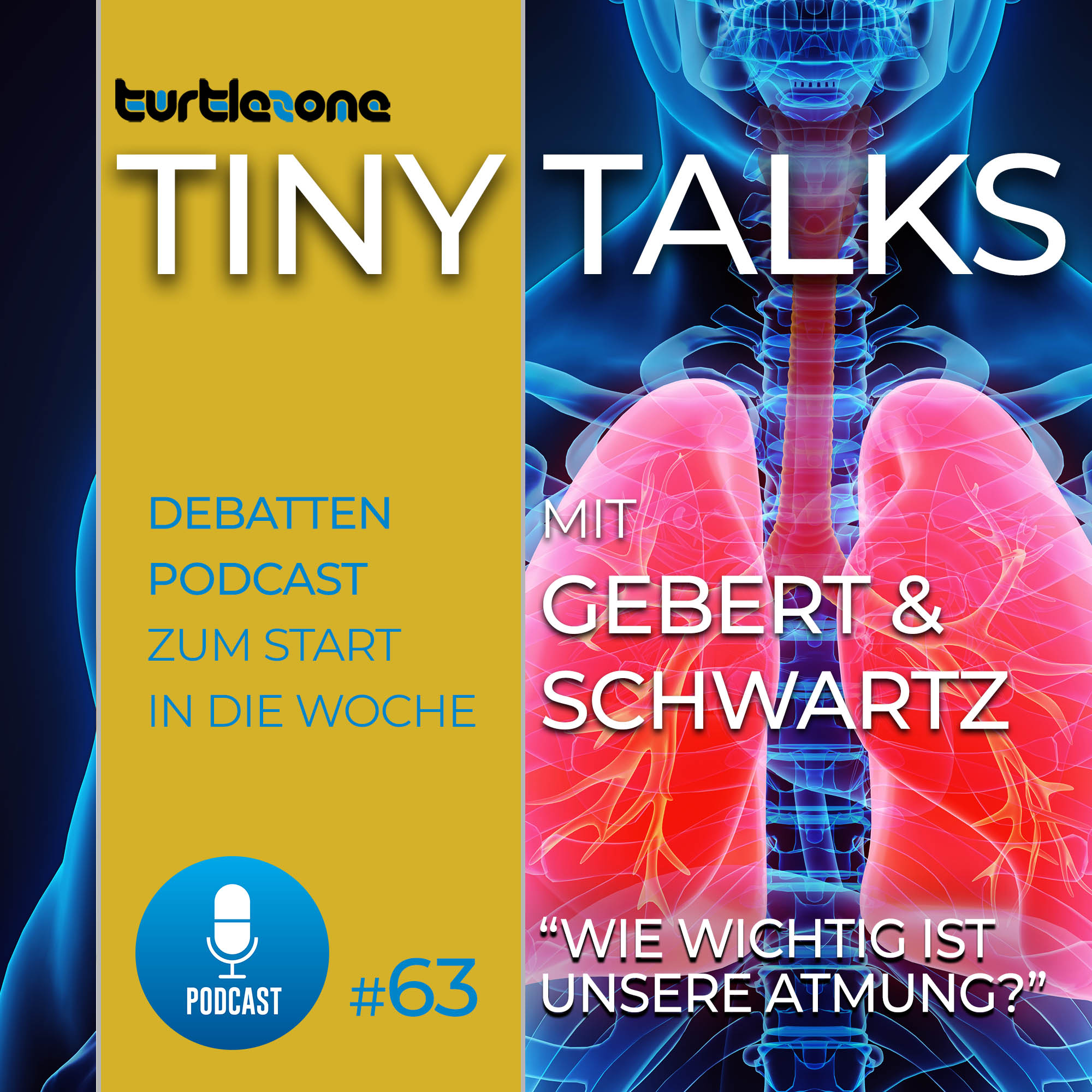 Turtlezone Tiny Talks - Der Debatten-Podcast mit Gebert und Schwartz