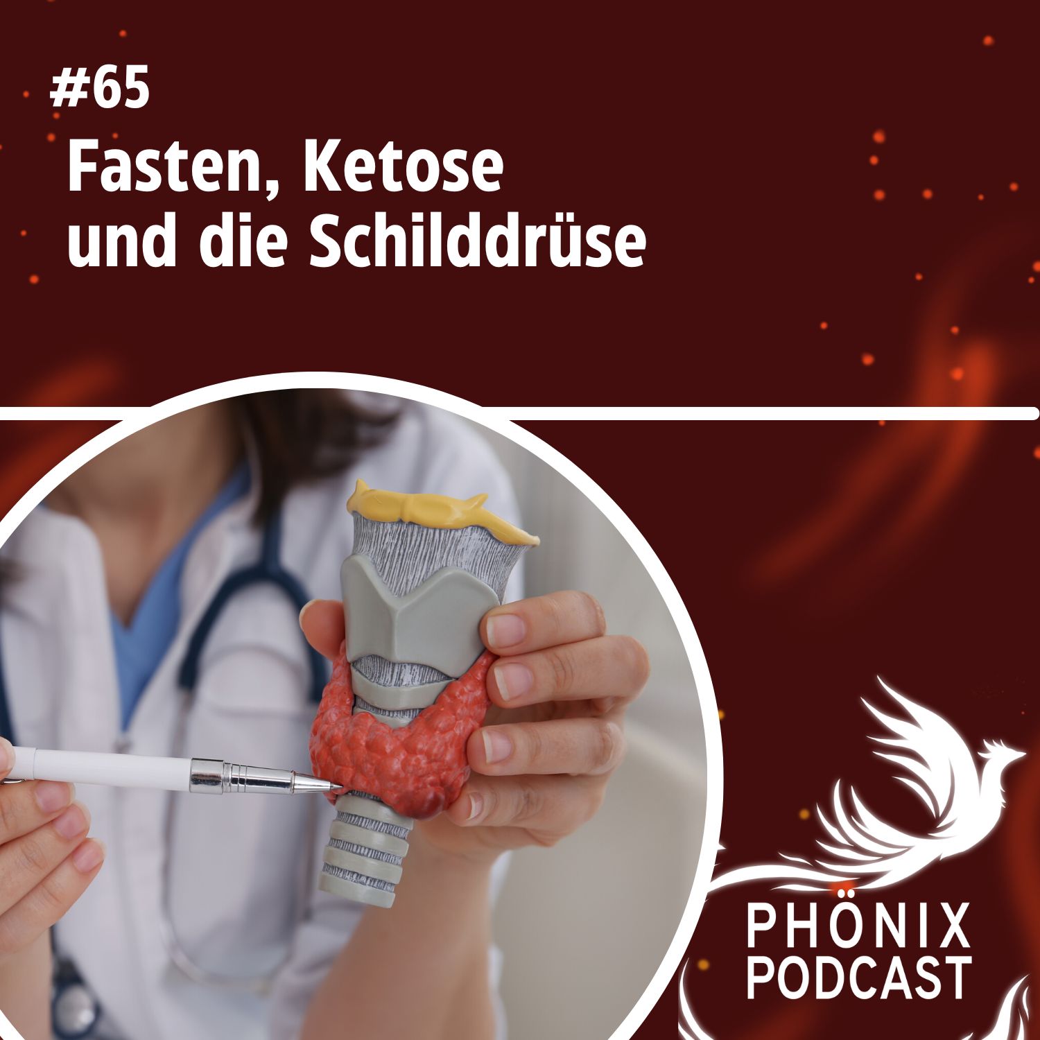 Fasten, Ketose und die Schilddrüse #65 - podcast episode cover