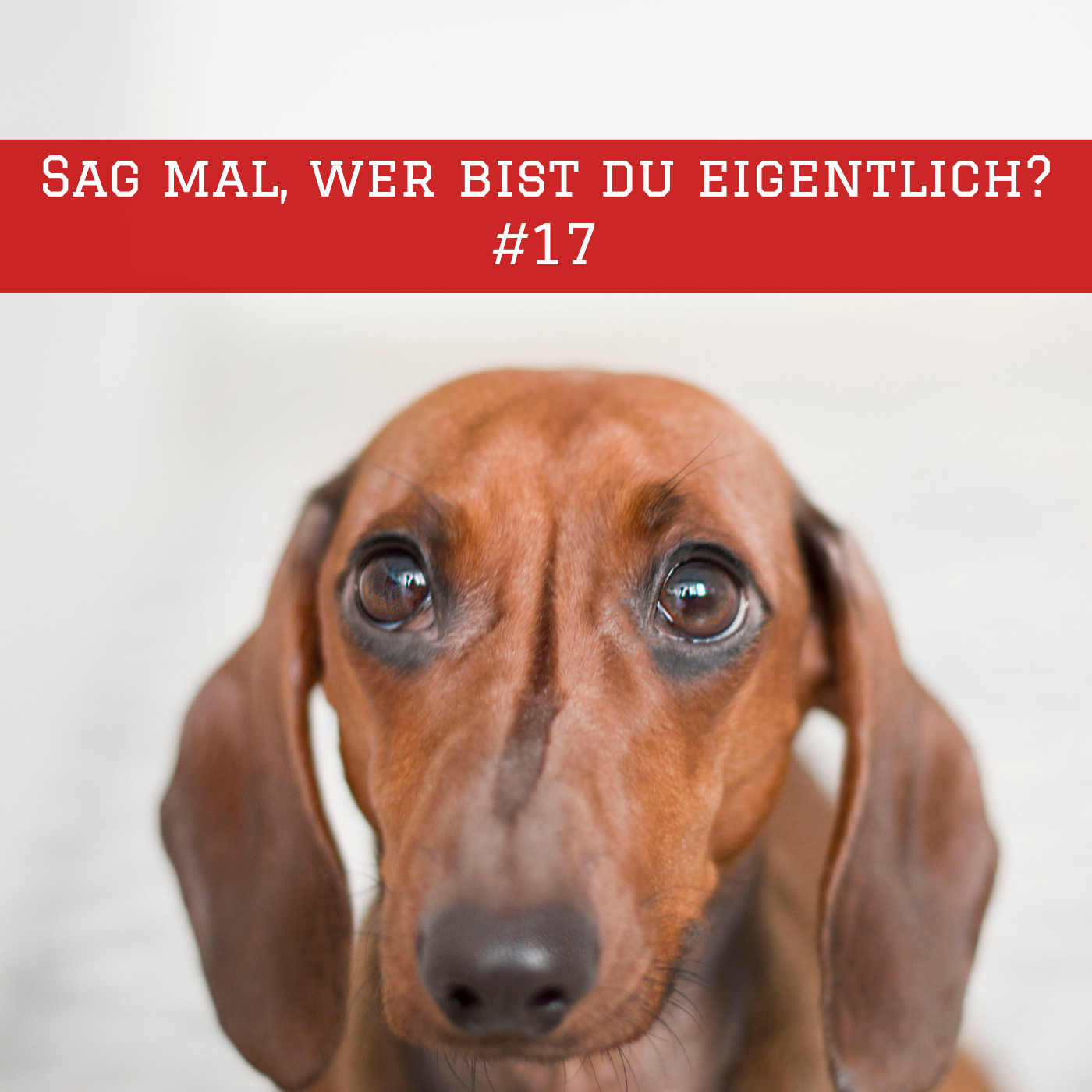 Der literarische Saloon