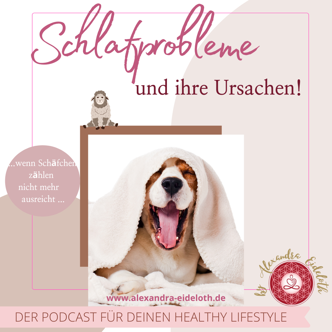 Deine Gesundheit ist Deine Entscheidung - Dein Podcast für Deinen Healthy Lifestyle!