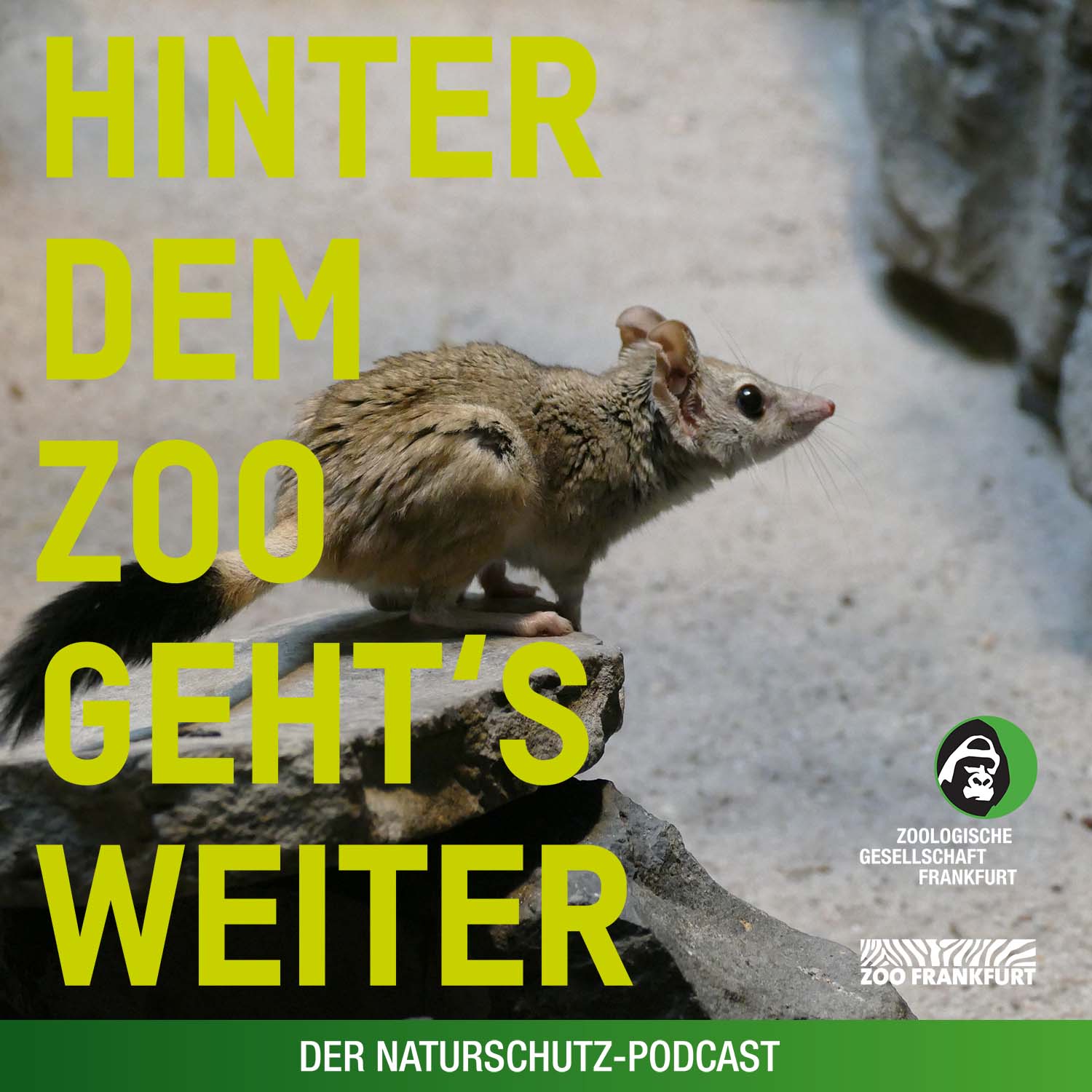 Hinter dem Zoo geht\'s weiter - Der Naturschutzpodcast aus Frankfurt