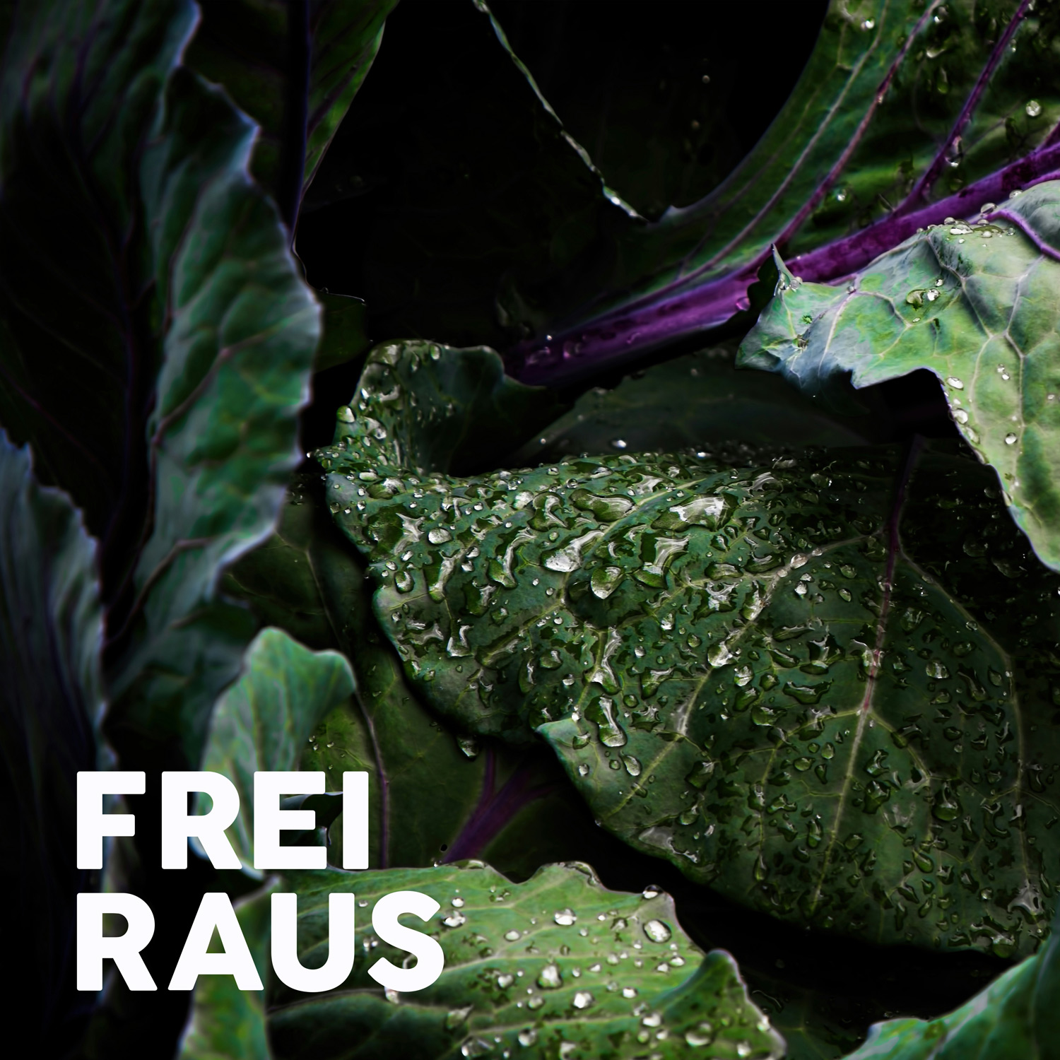 Raus und Lebensmittel retten – Christinas neue Alltagsabenteuer